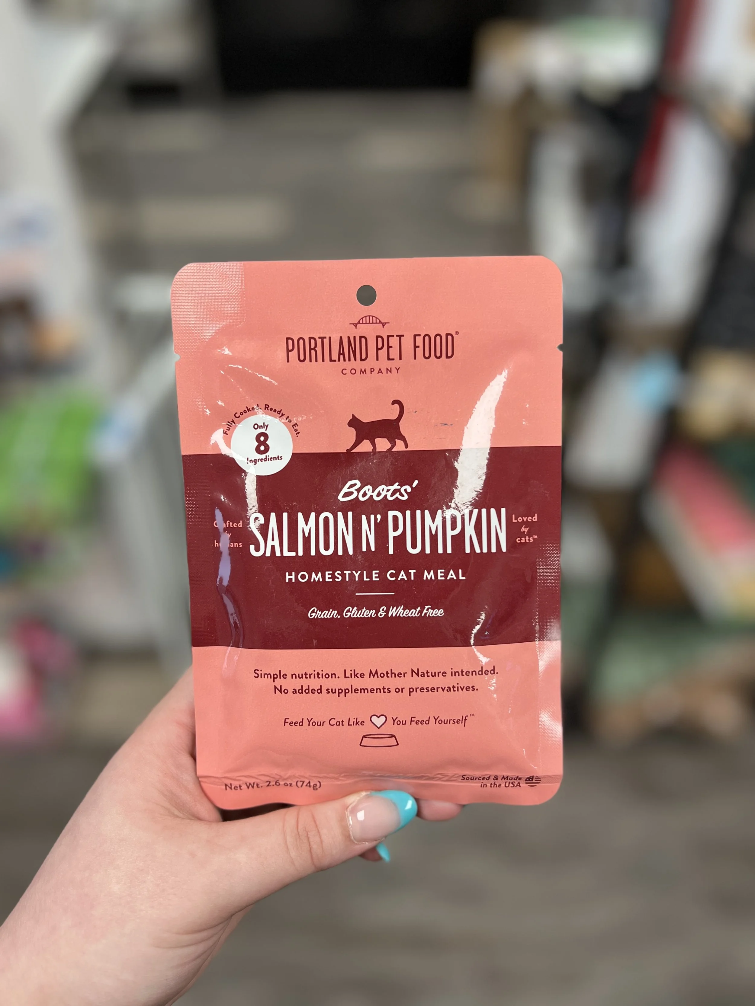 Salmon N' Pumpkin Cat Gently Cooked Food