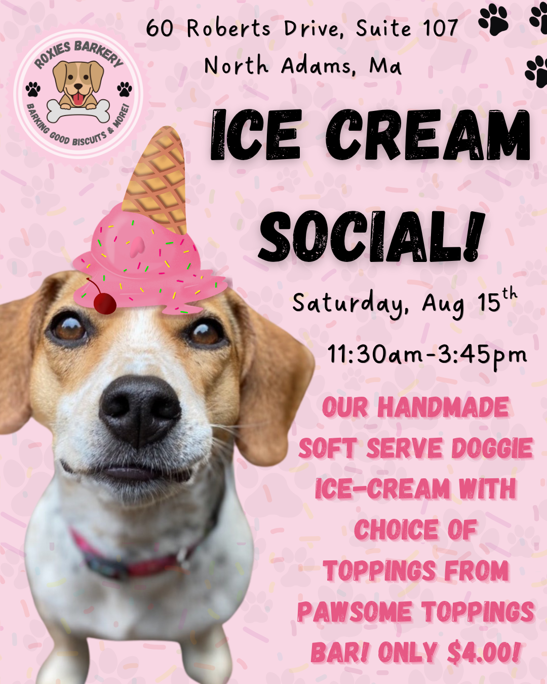 Ice-Cream Social for dogs!