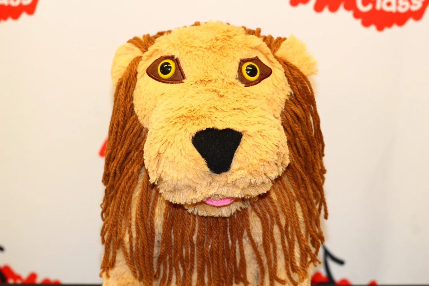 BLOG DE 2º A Y 2º B: A hand lion puppet