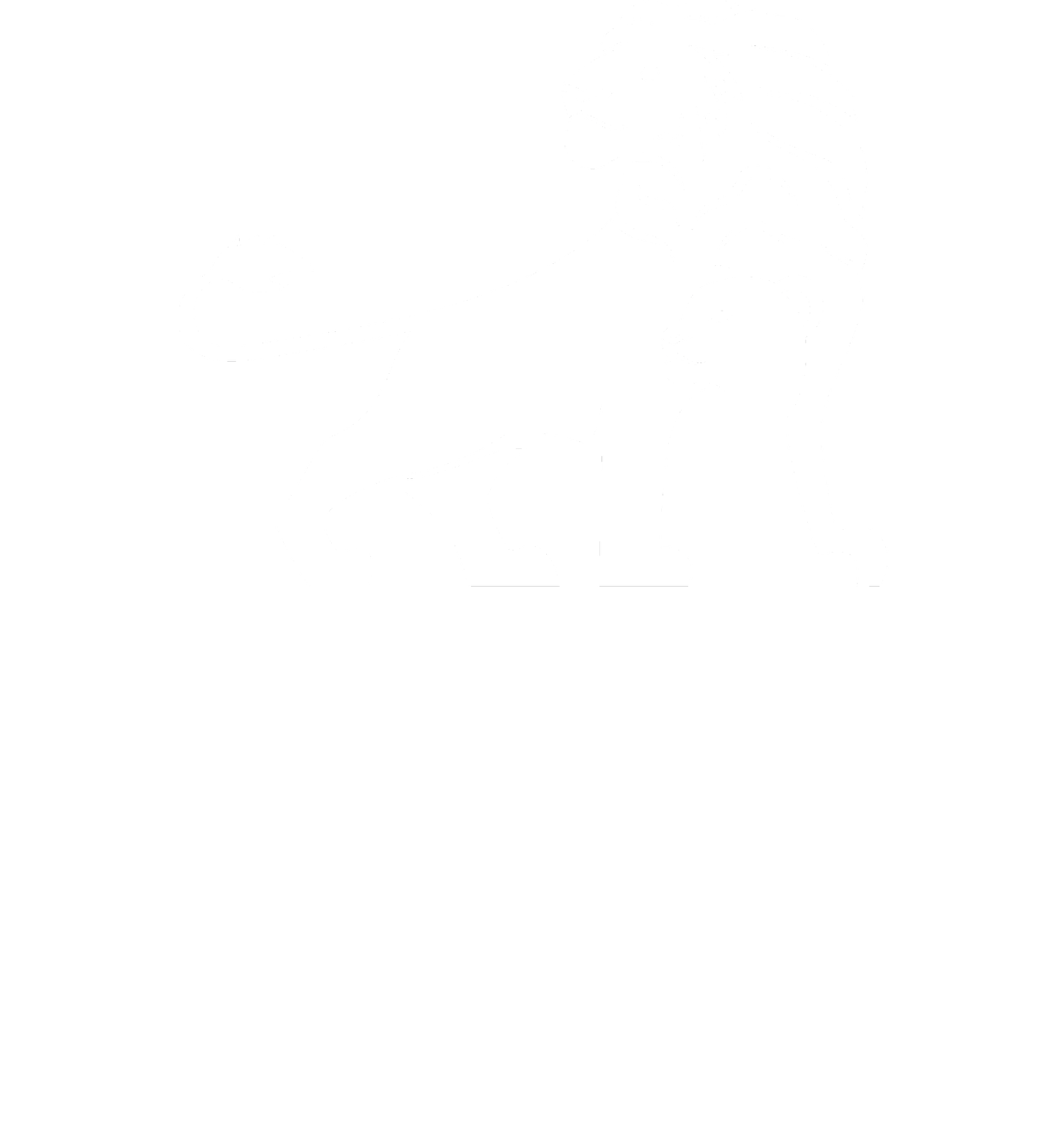 Amelia Fettig Counseling