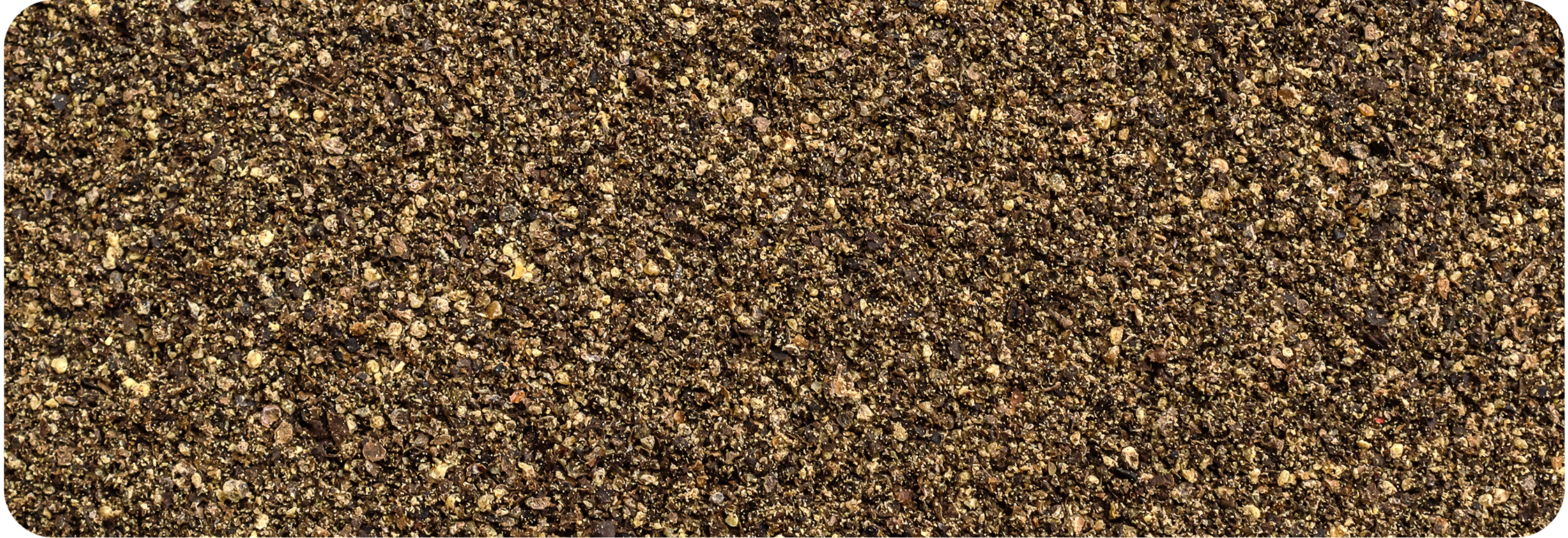 Black Pepper #18