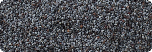 Poppy Seed Premium Grade A Dutch