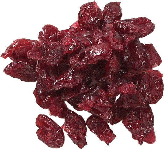 Sundried Cranberries USA