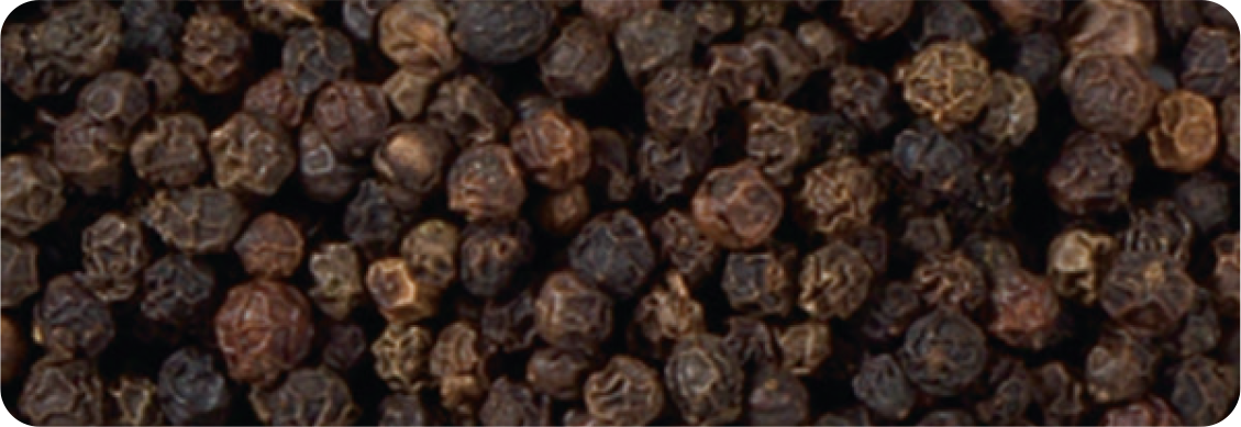 Peppercorn Black Premium Malabar