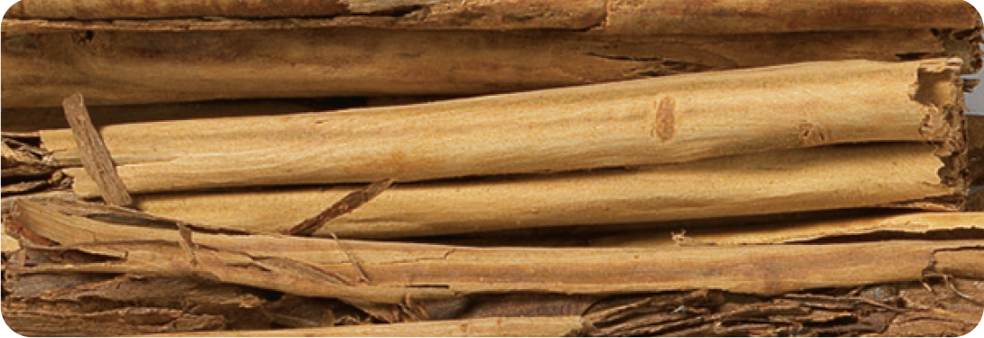 Cinnamon Stick 5 Inch Ceylon AA
