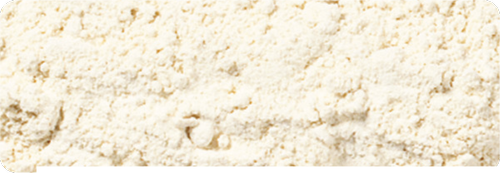Onion Powder Extra Fancy California