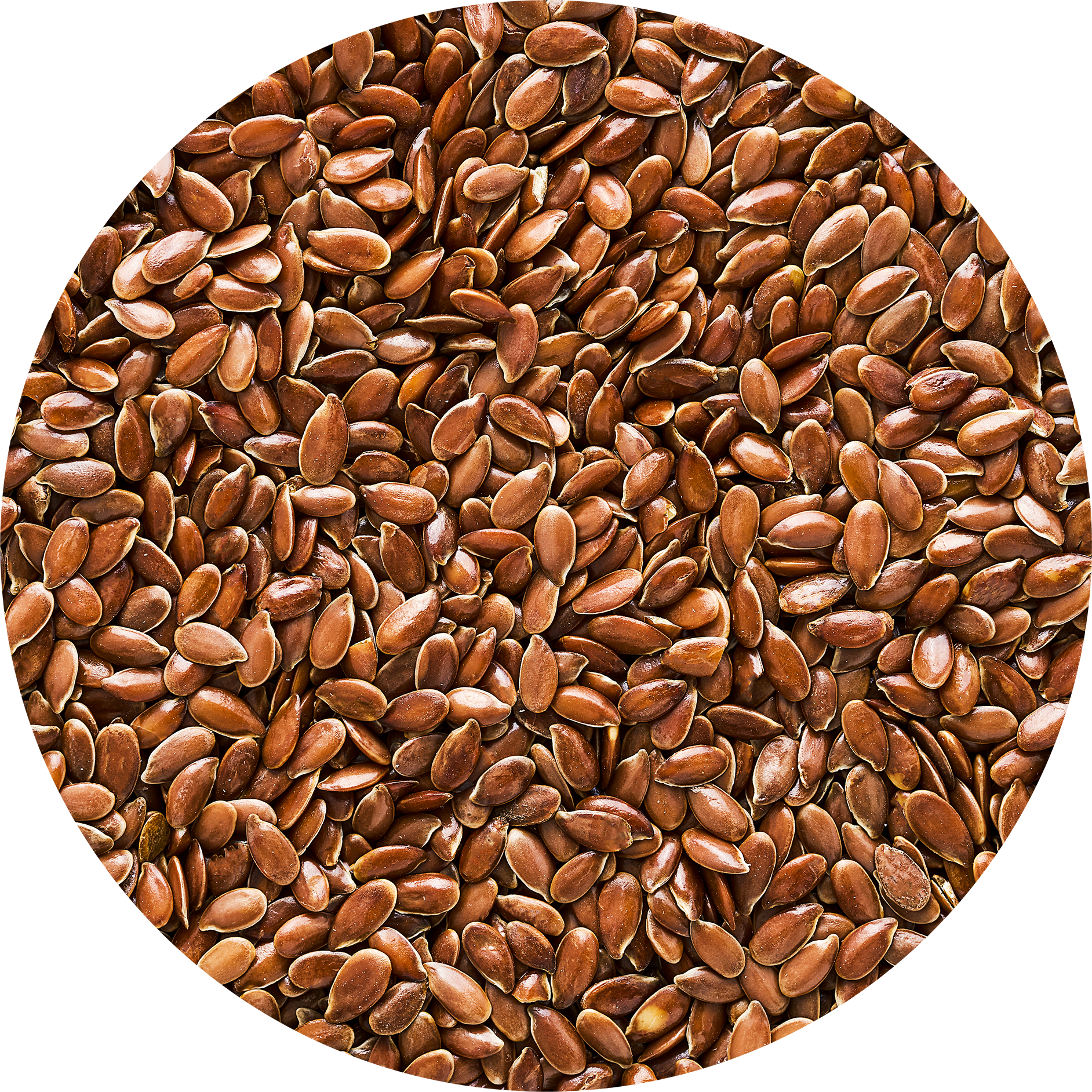 Brown Flax Seed