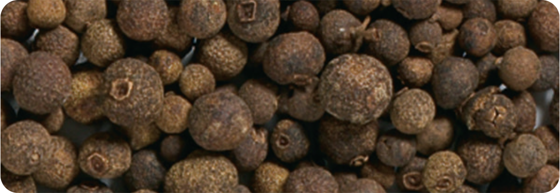 Allspice Whole Premium Jamaica