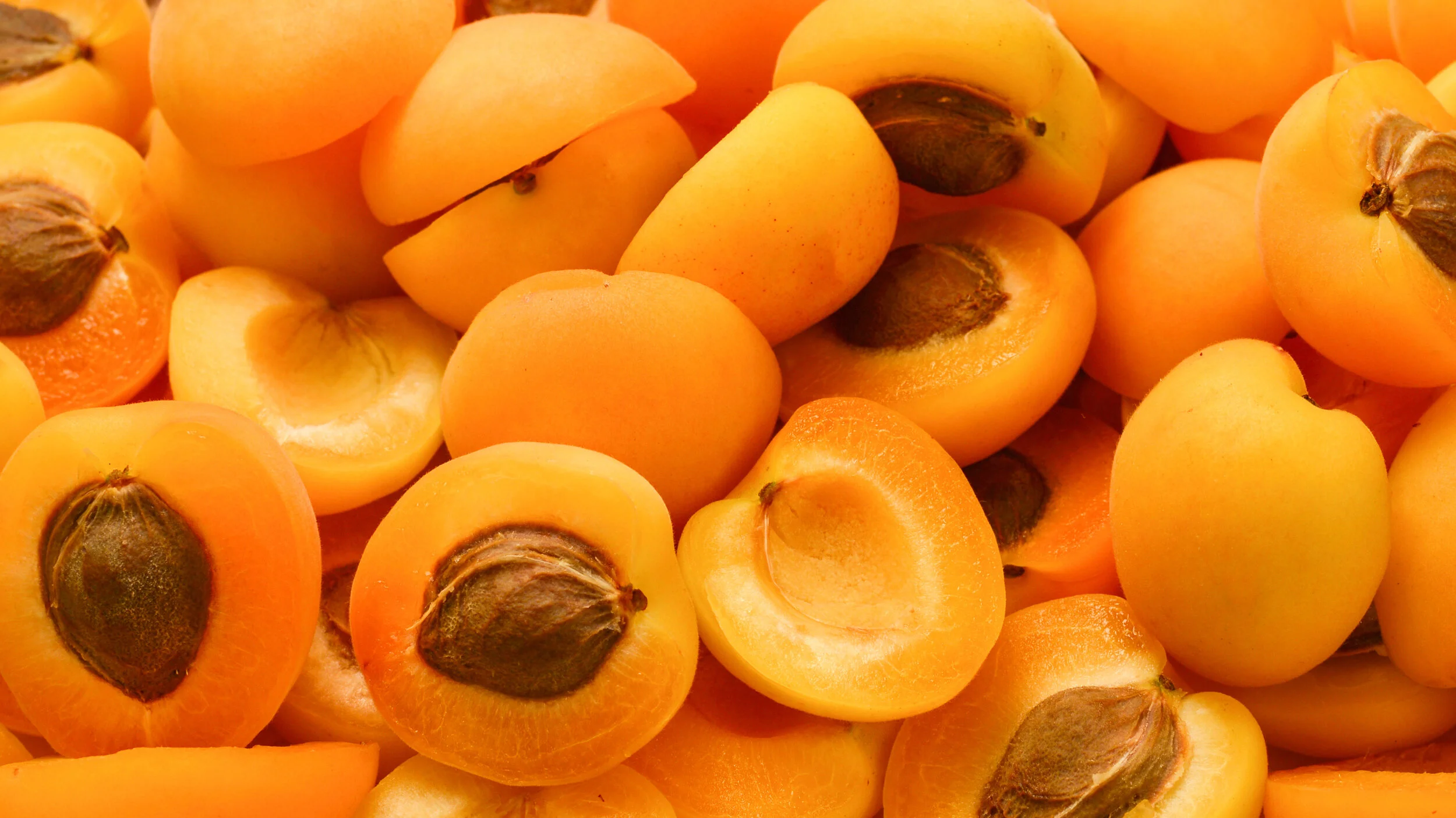 Apricot quenches your skin’s thirst with lasting moisture that glides over skin without a greasy residue.