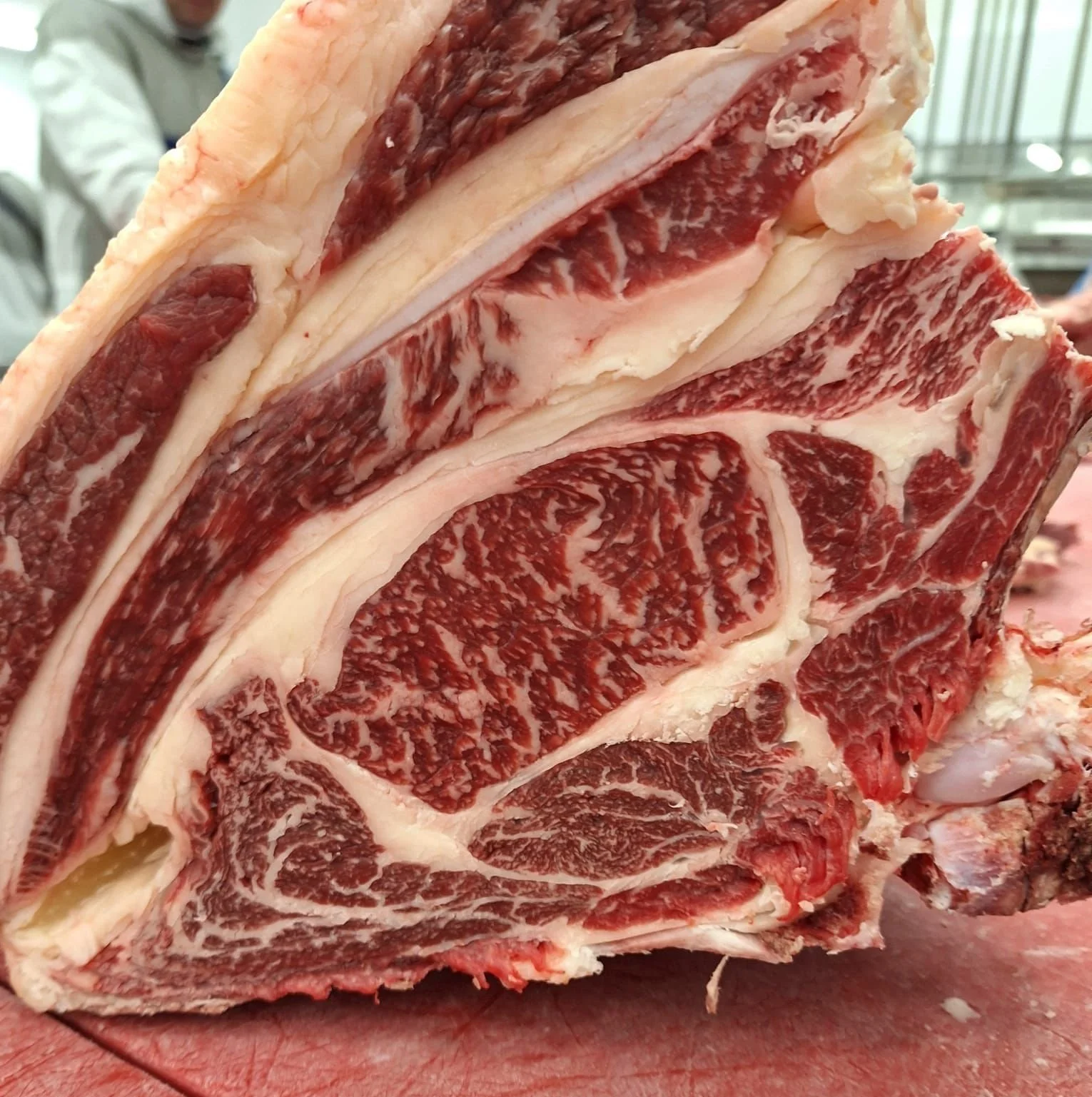 Close-up of a large cut of marbled raw beef with visible fat content.
