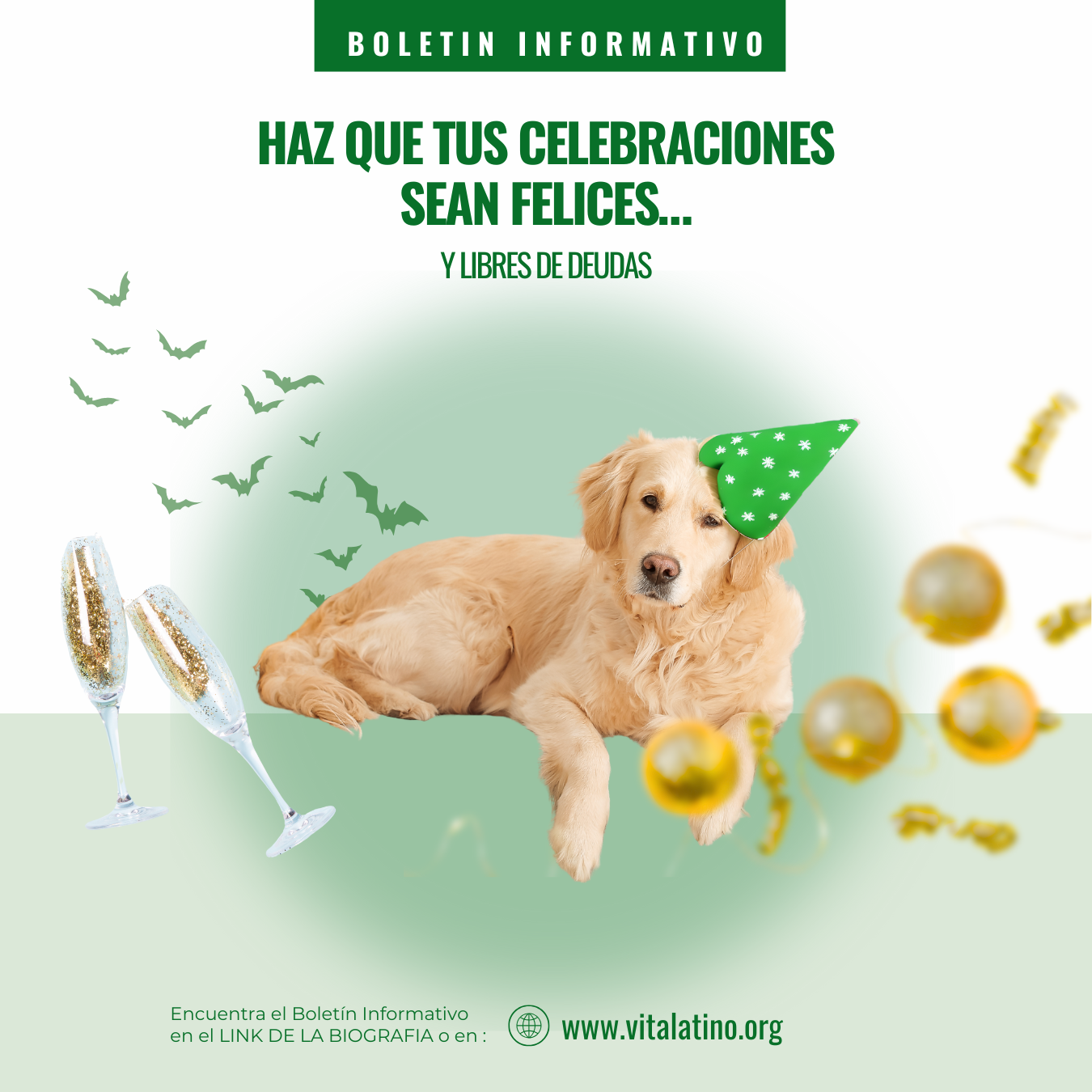 Tips para cerrar el año con finanzas saludables