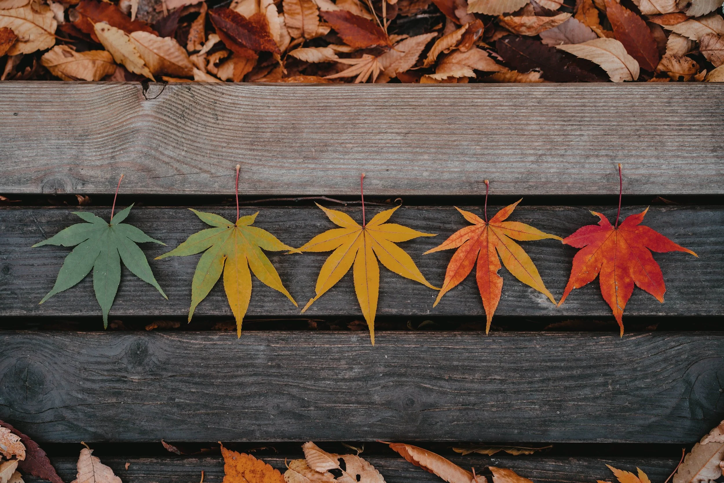 A Newbie’s Guide to Seasonality in Vacation Rentals