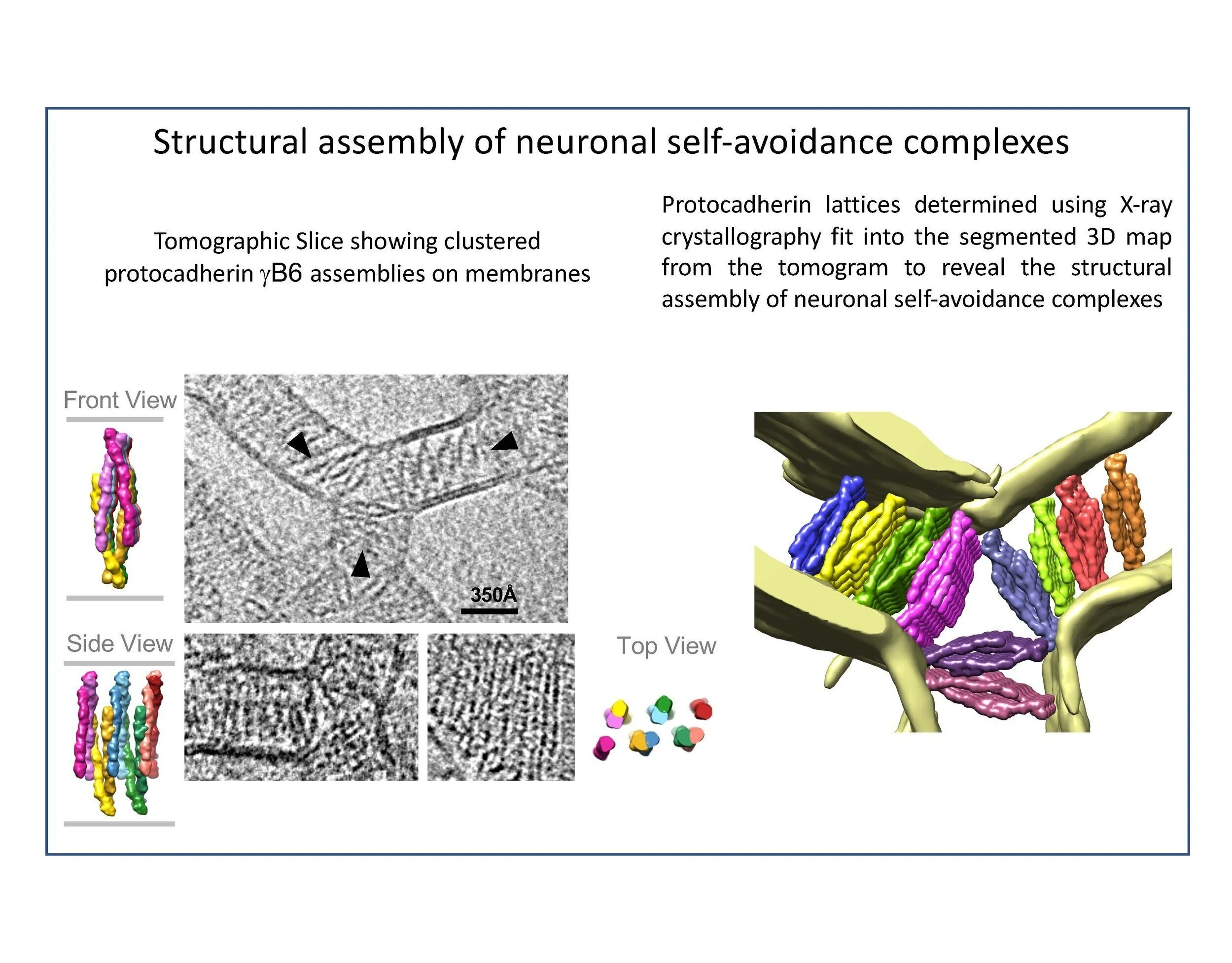Website - research example image.jpg