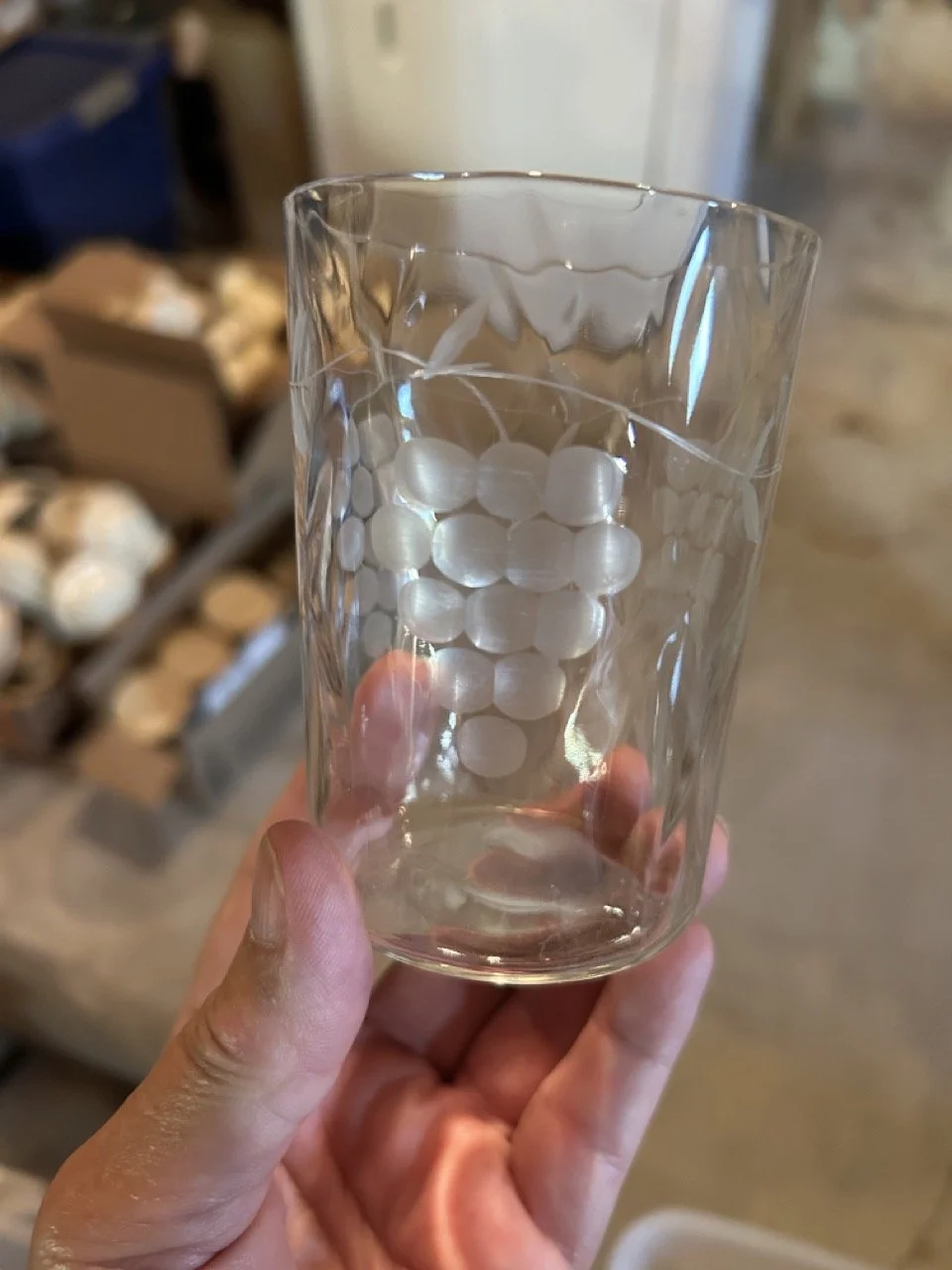 35CDE8C5-0AB7-4707-A343-2EAD2411AAEF Large.jpeg