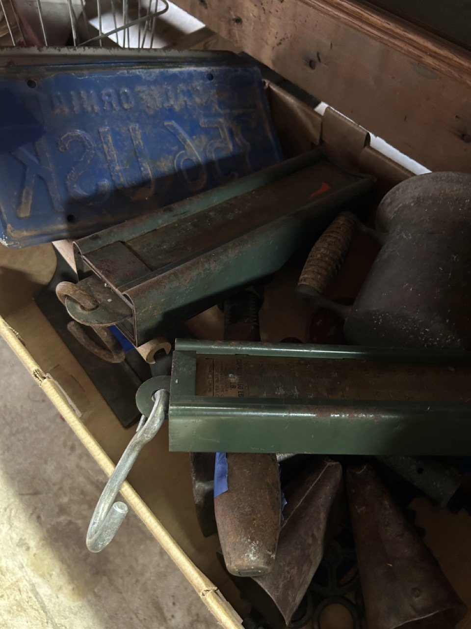 32ED22AC-E73C-4F13-93BA-91571C0148DE Large.jpeg