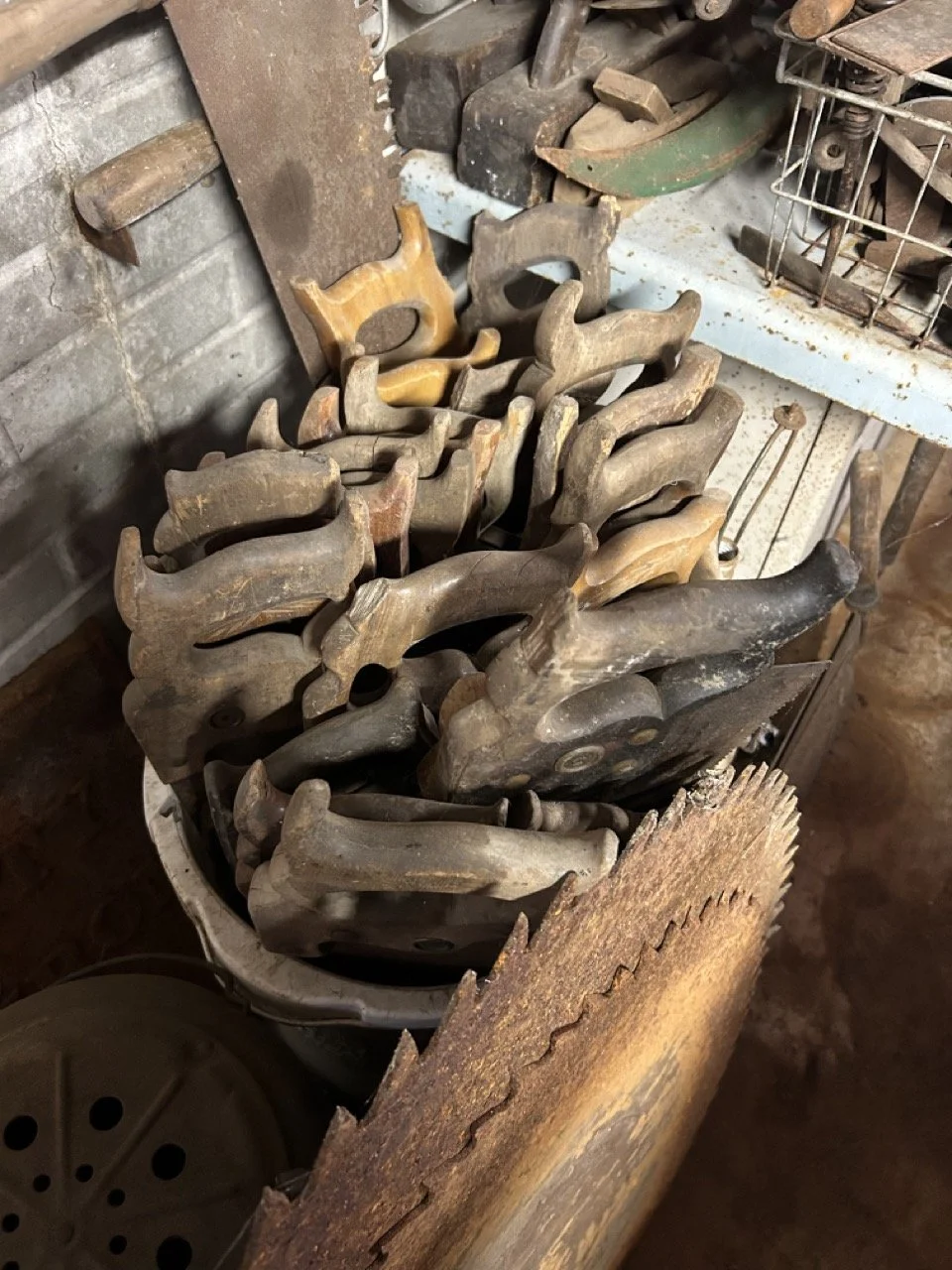 16AF32C0-5EE1-4C98-AC0C-7775E5C53C29 Large.jpeg