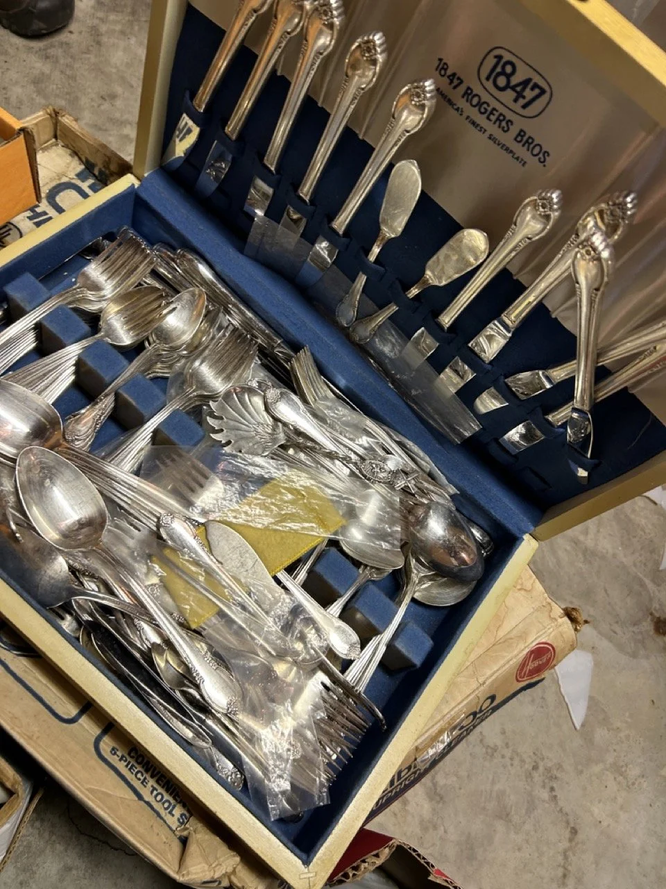 F53DA02E-0BDA-4D29-893B-1AF86E8CB972 Large.jpeg