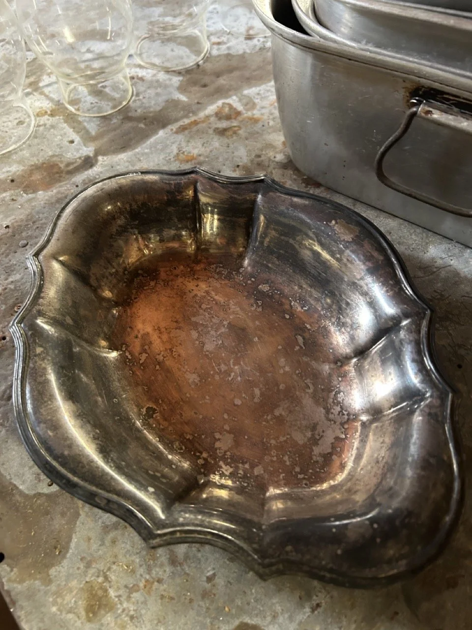 67E96DE1-42F1-47BE-BB0D-D875C55B2423 Large.jpeg