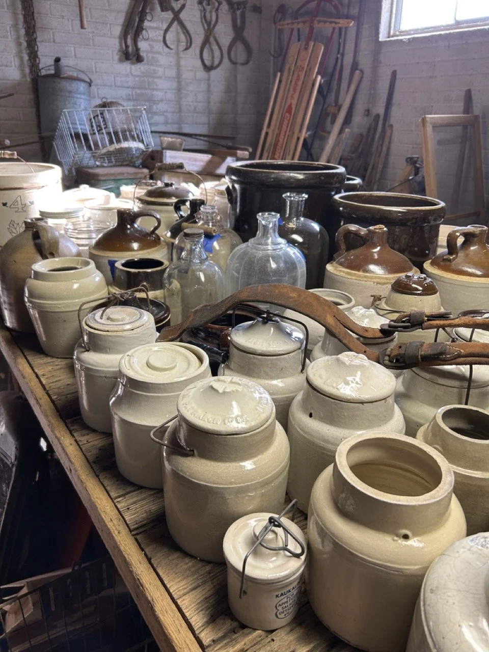 0FD8EB86-08B8-4309-BC06-08905DDAA2C1 Large.jpeg