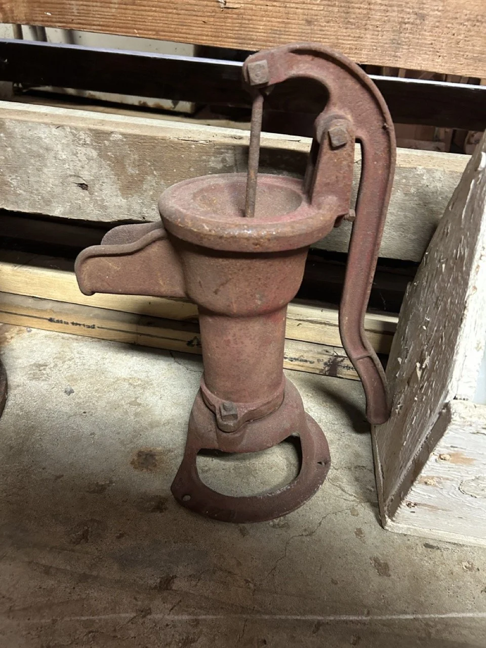 AD93C56A-AEE8-4B41-9895-43191B7721C4 Large.jpeg