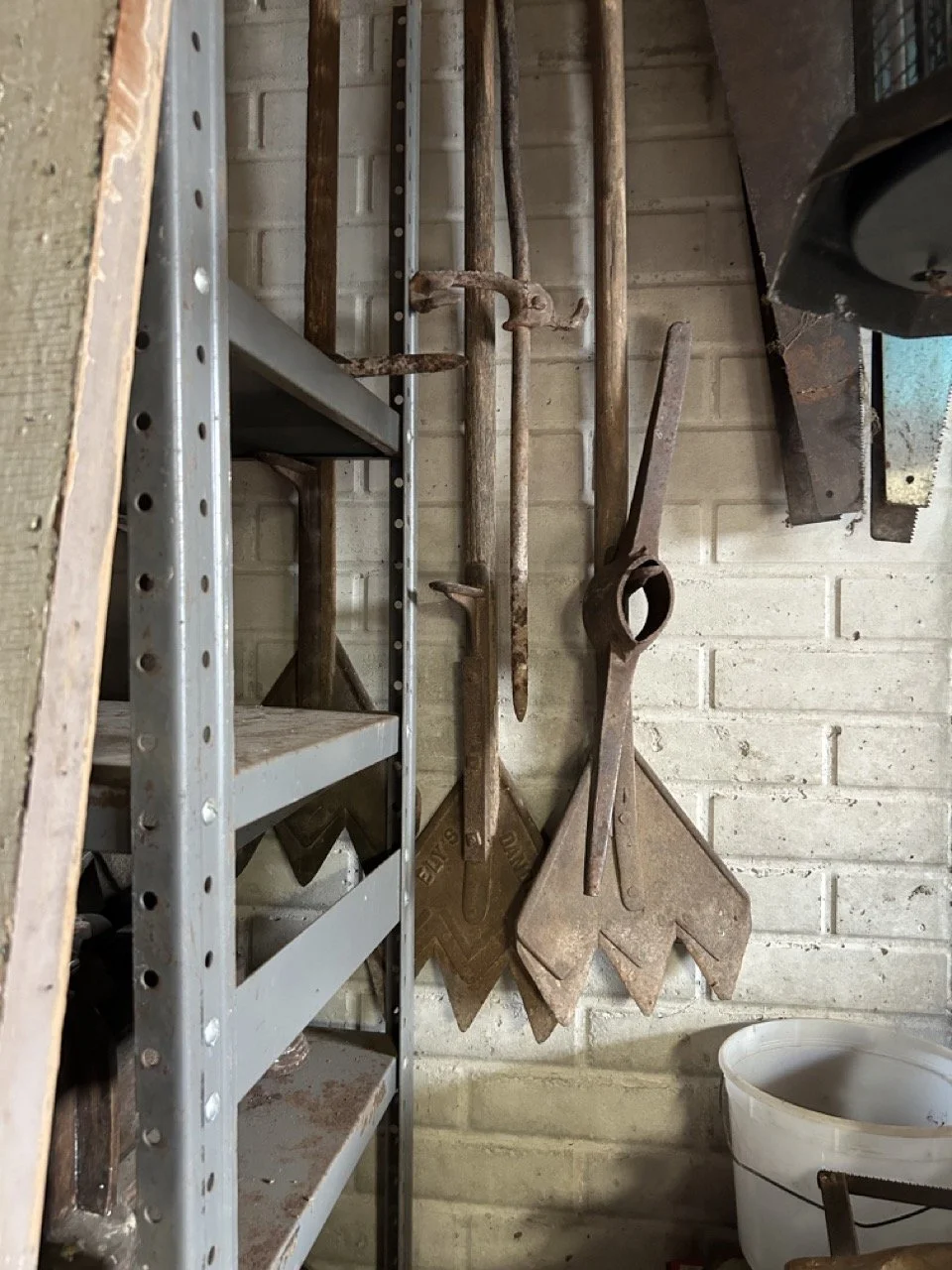 31927614-7EA0-47D6-8169-02F9B3092008 Large.jpeg