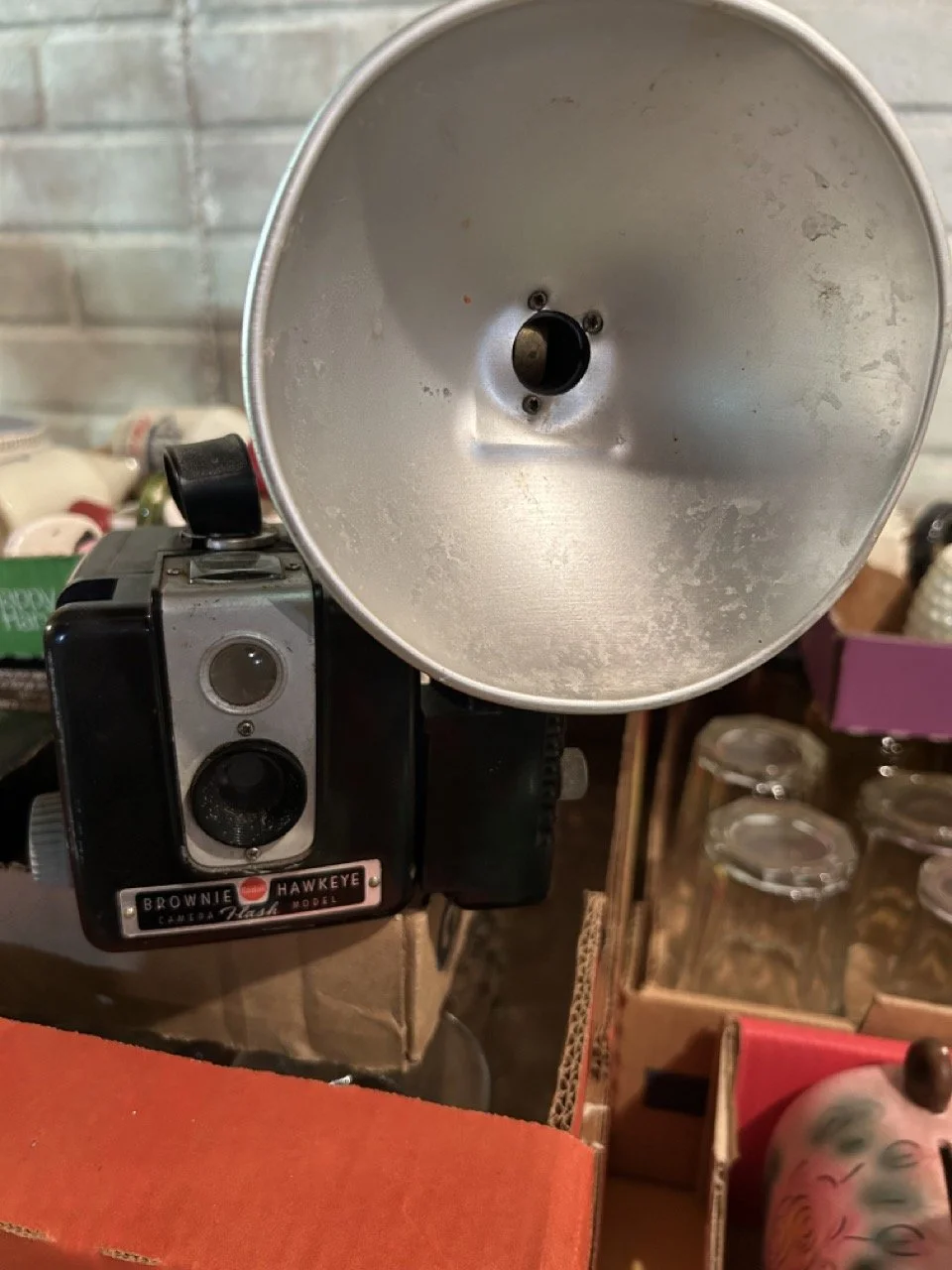 98B310D3-BA15-4E84-B88C-C657FFBD9E09 Large.jpeg