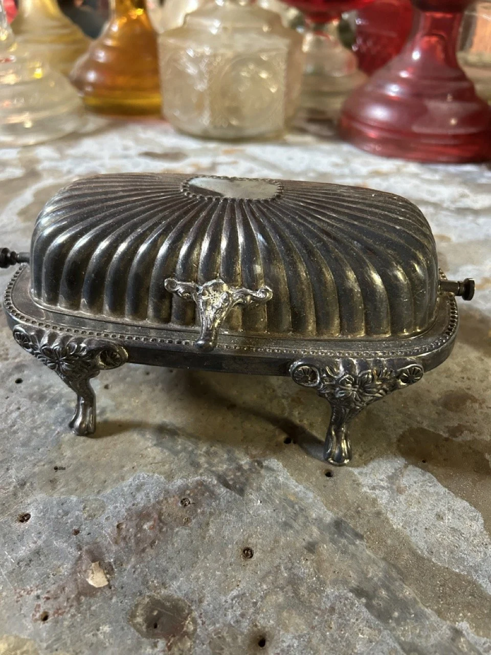 09556C71-6DC5-4E29-ADF6-D2032D6422E7 Large.jpeg