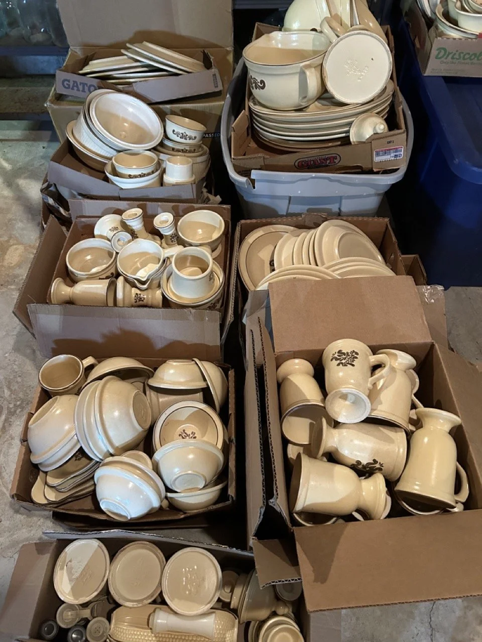 8D1B7D97-7722-4990-8653-9A75BECC798E Large.jpeg