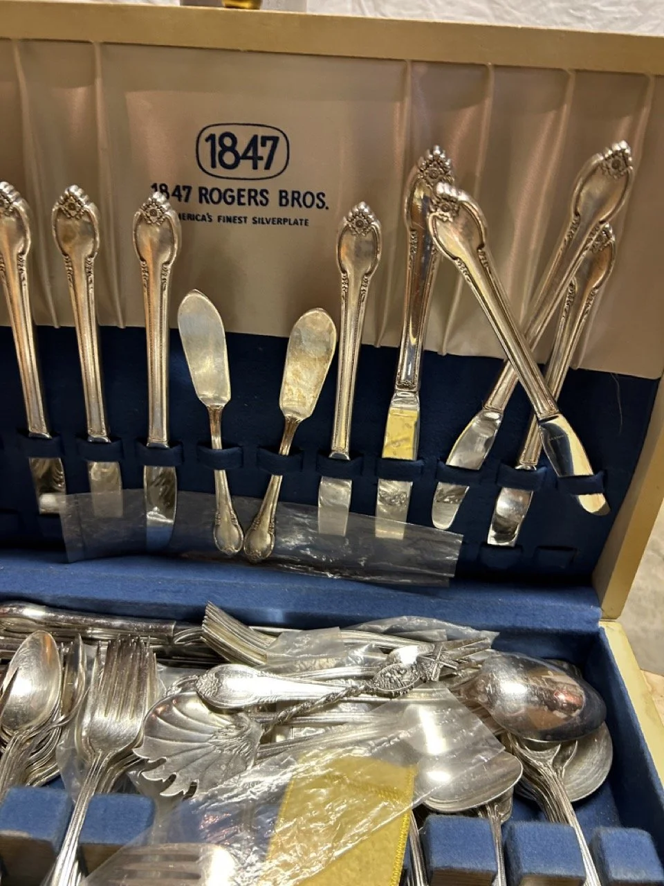 2627EB40-0A99-44B2-91F1-60E804D367BE Large.jpeg