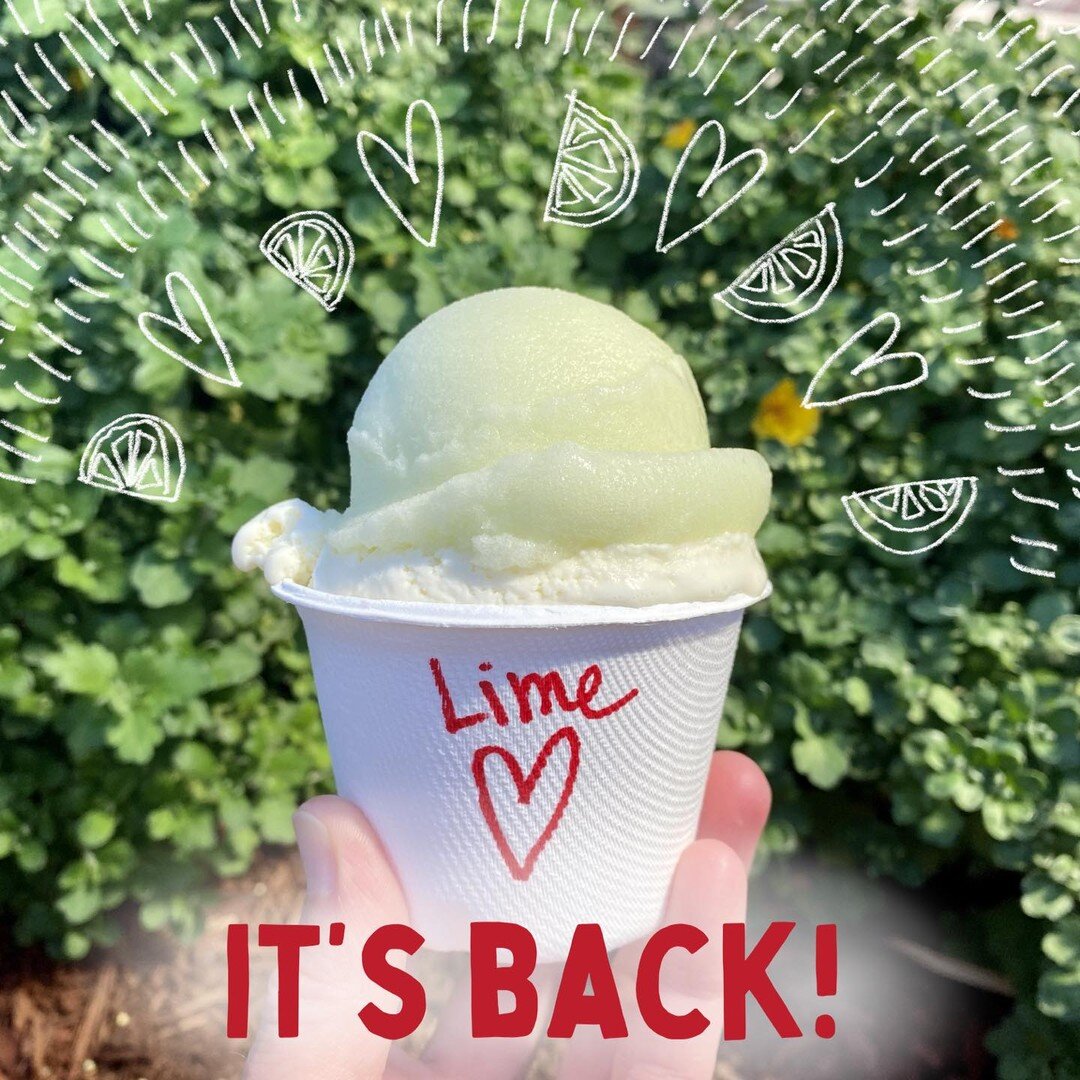 FLAVOR OF THE WEEK: 💚 LIME 💚

We heard from quite a few of you that one day was just not enough for lime.  I mean really, what were we THINKING?! We&rsquo;re bringing back this refreshing flavor for what looks like might be the last week of hot tem