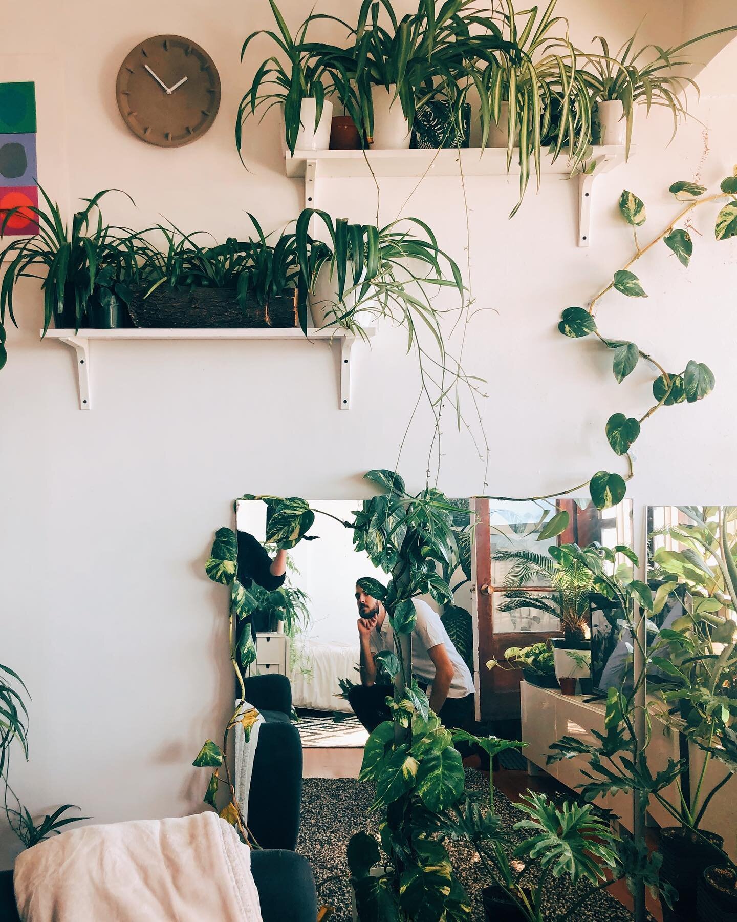 @ky_l_e &lsquo;s live-in greenhouse hideaway 🌱