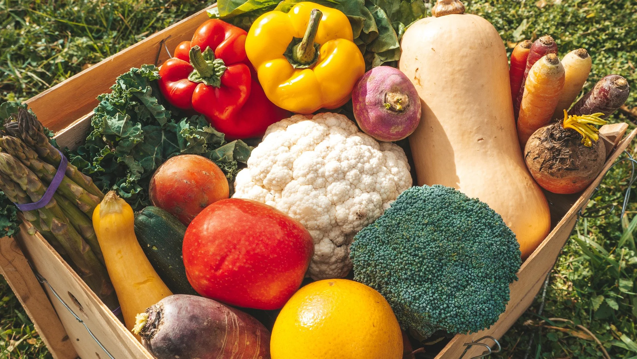 Rustic wooden box filled with farm-fresh vegetables, placed on lush grass outdoors – vibrant organic produce photography.