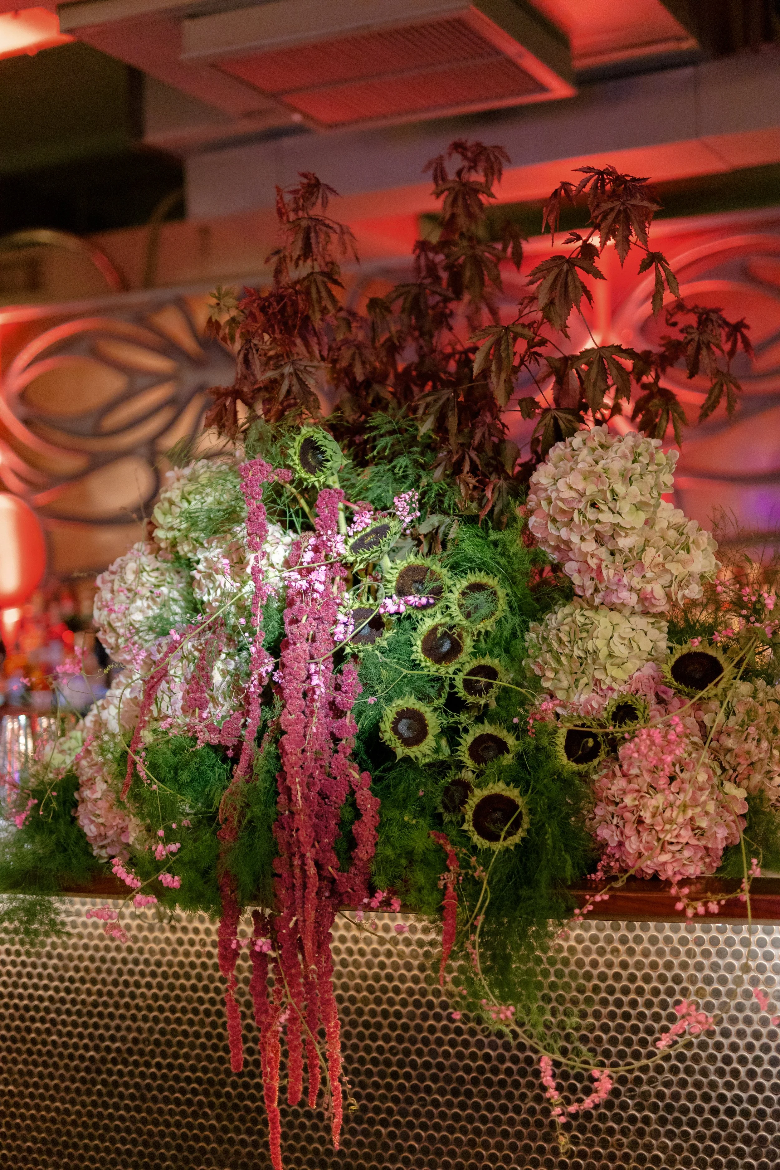 Photography: Lance Nicoll