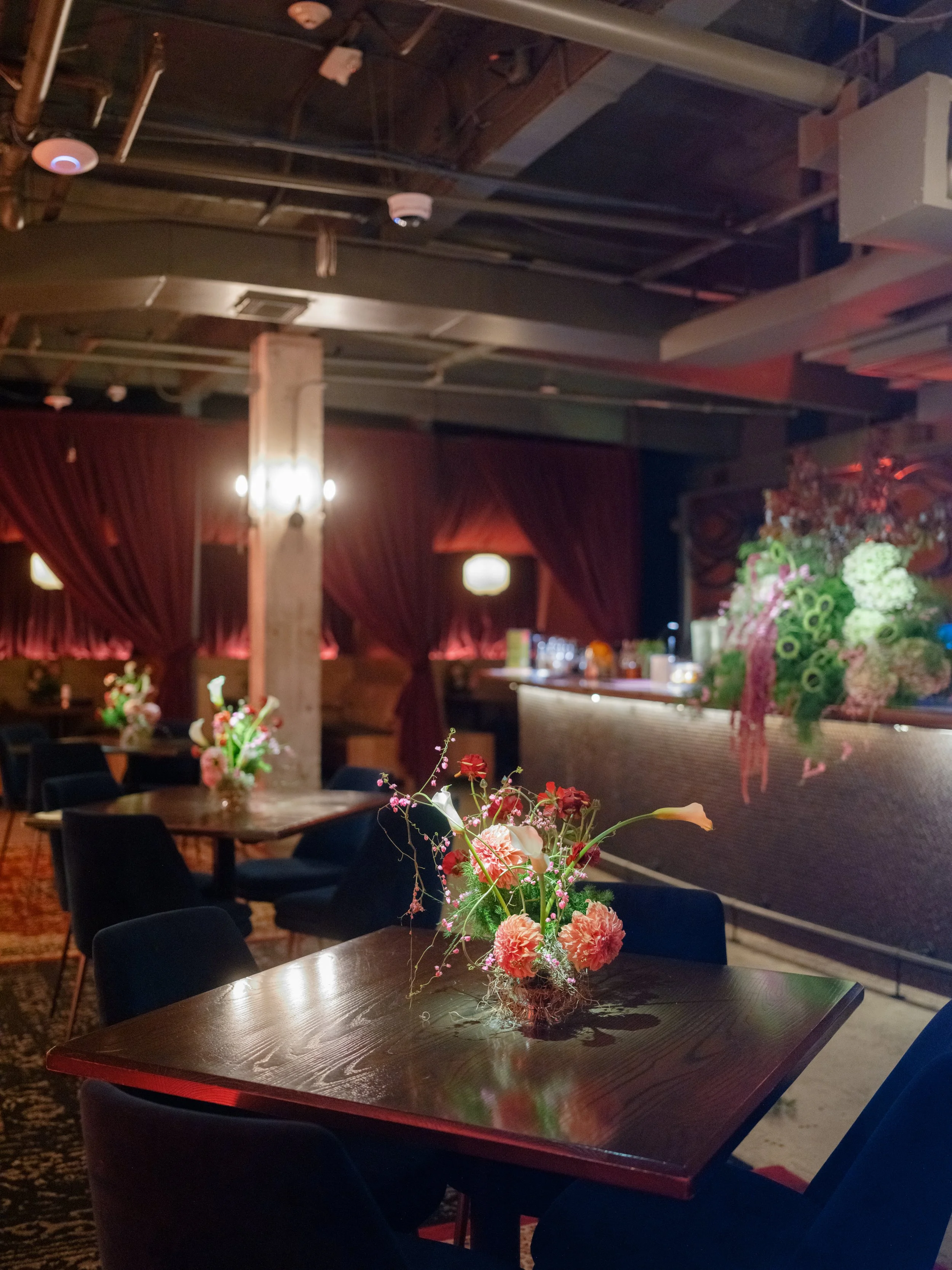 Photography: Lance Nicoll