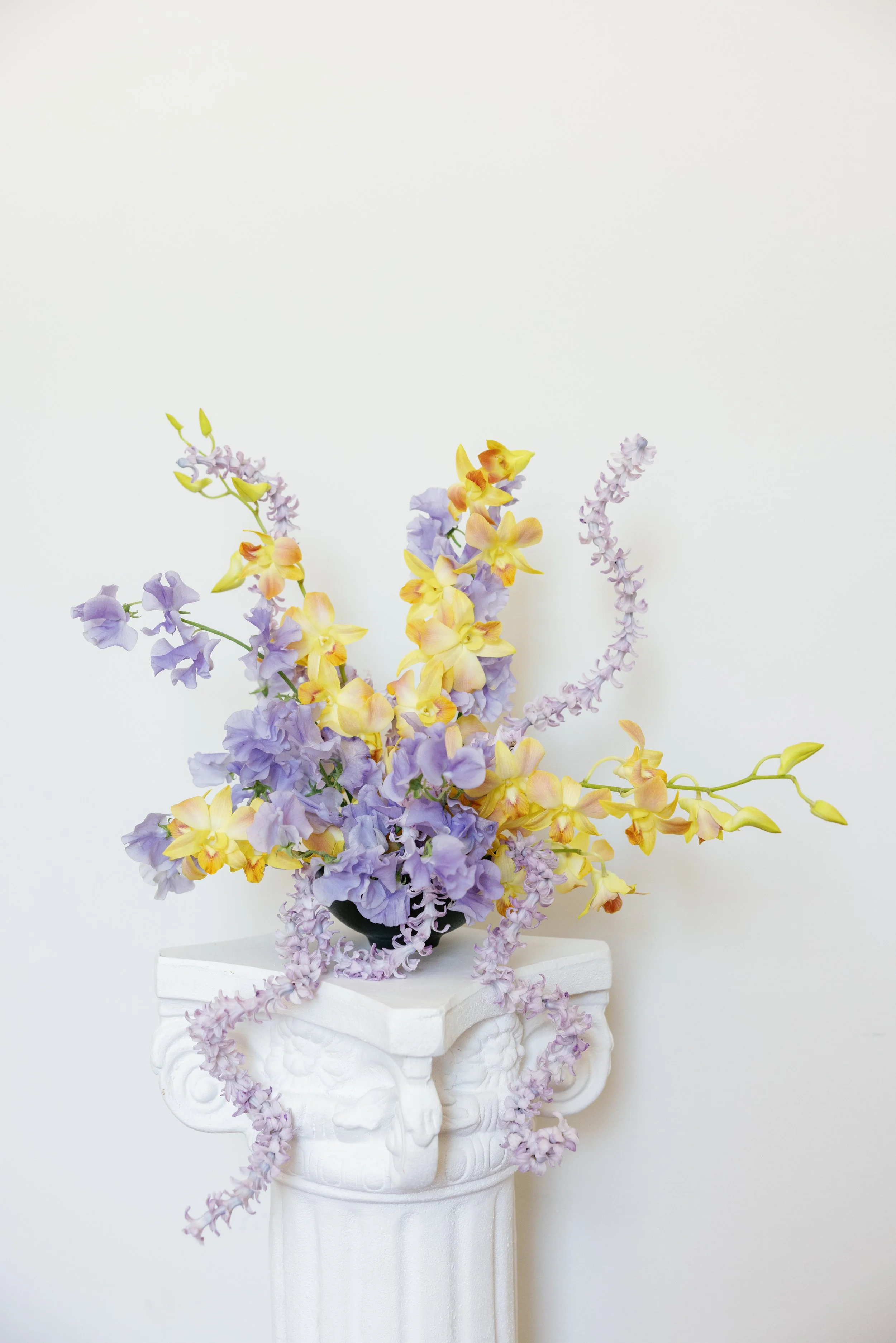 Photo by Steph Bishop