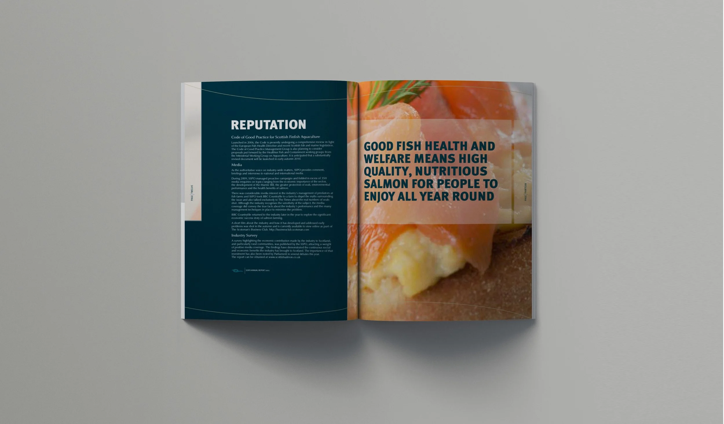 Report layouts4.jpg