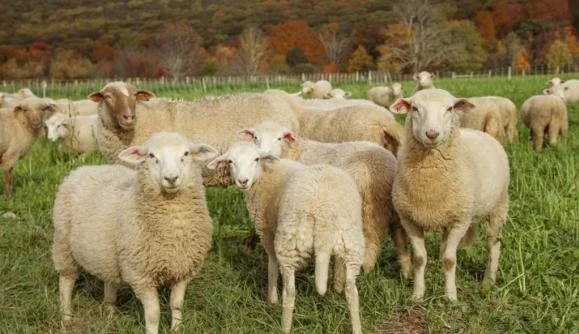 Retreat: Shared Room