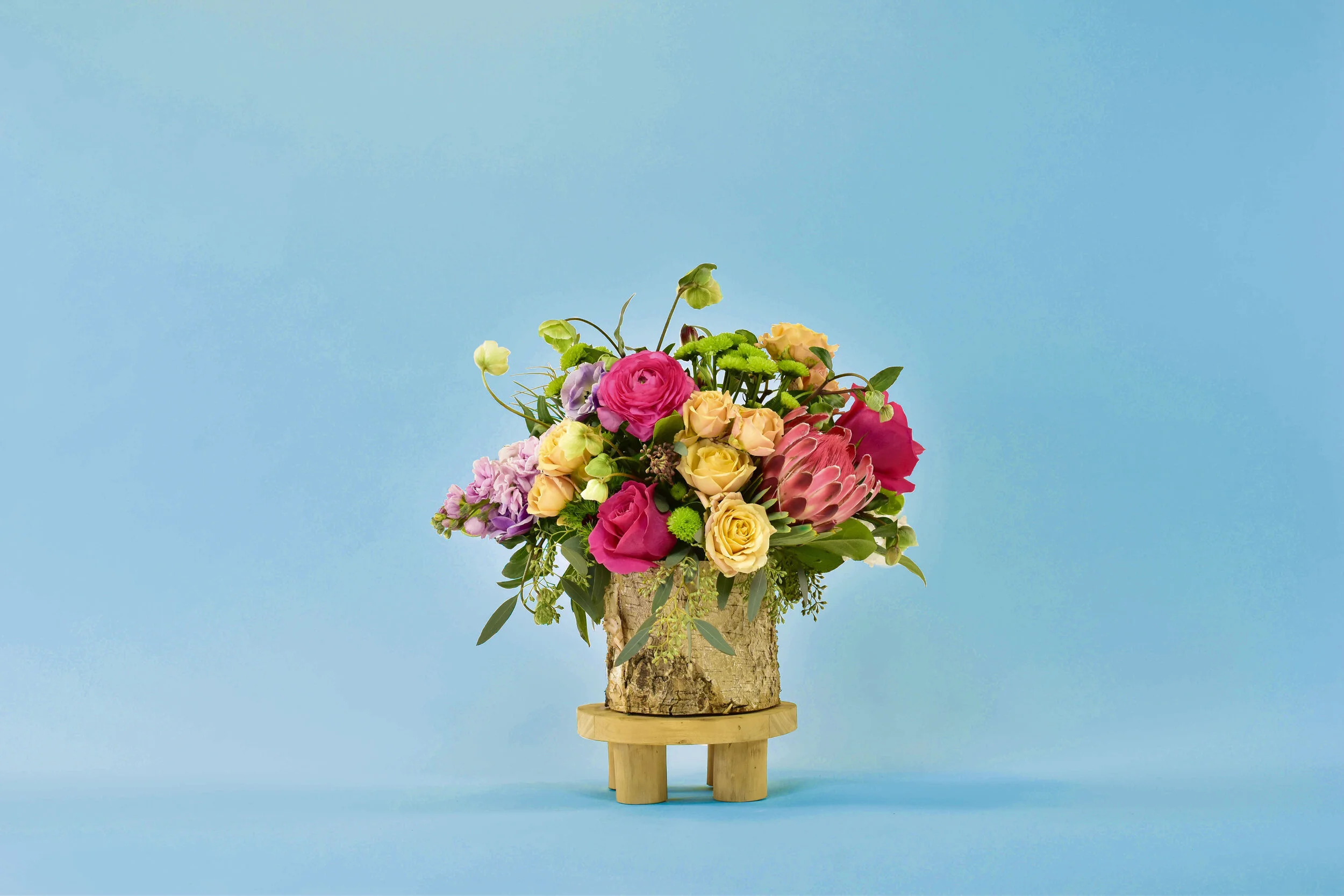 9cda643072e24d0baa47bfe129b046c2-Twigs_Shoot_1-5-19-254blue background.jpg