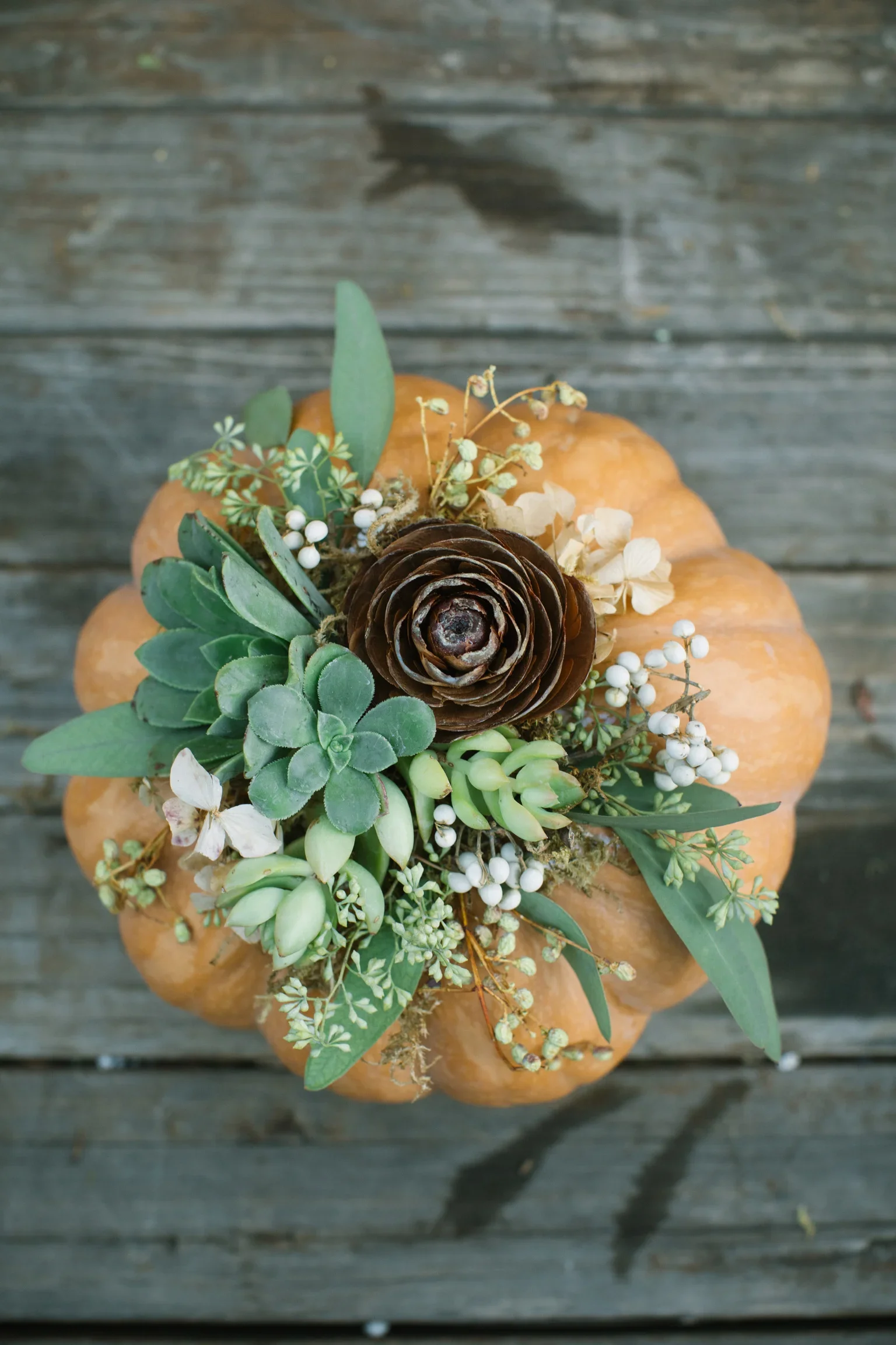 MAKE & TAKE PUMPKIN SUCCULENT