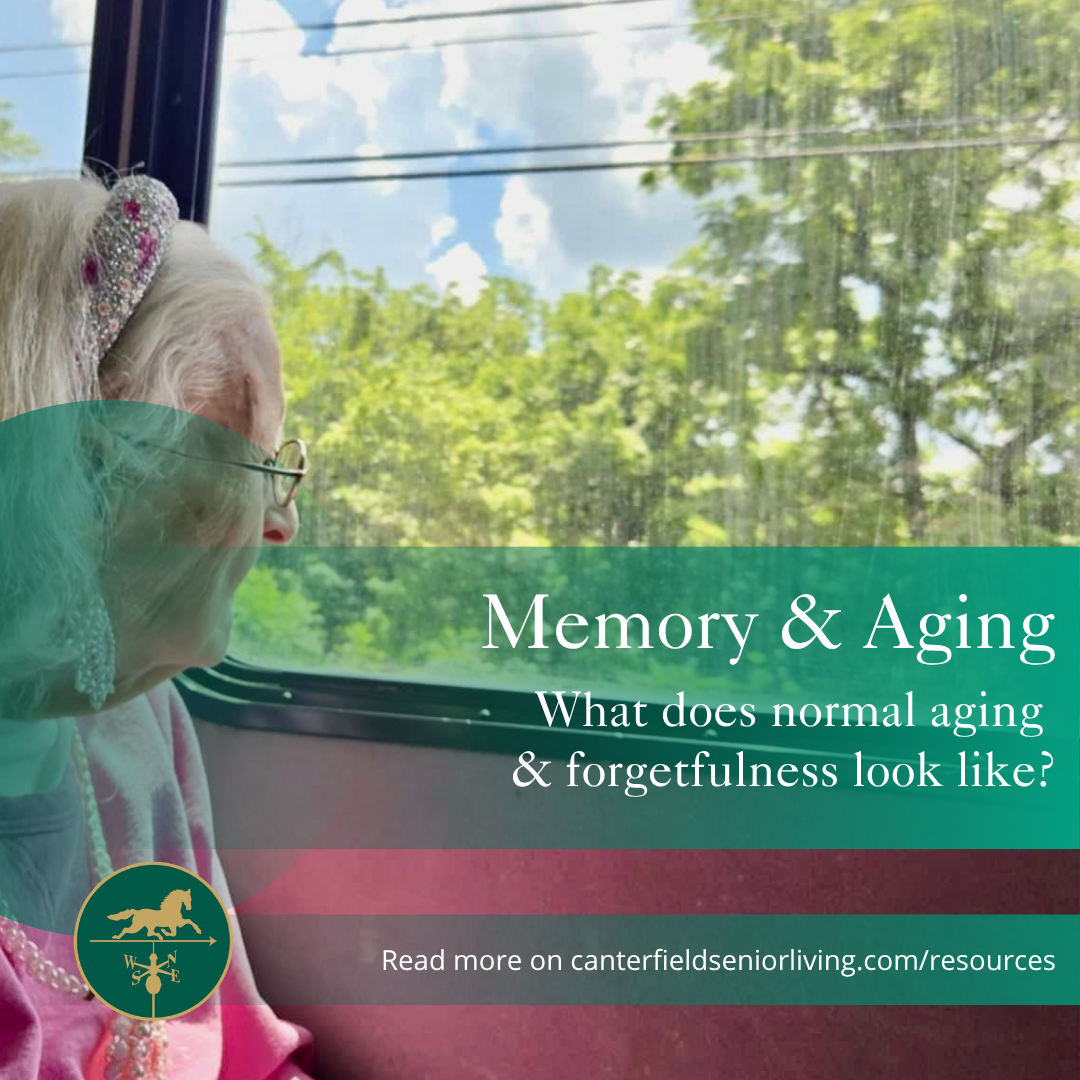 Memory &amp; Aging