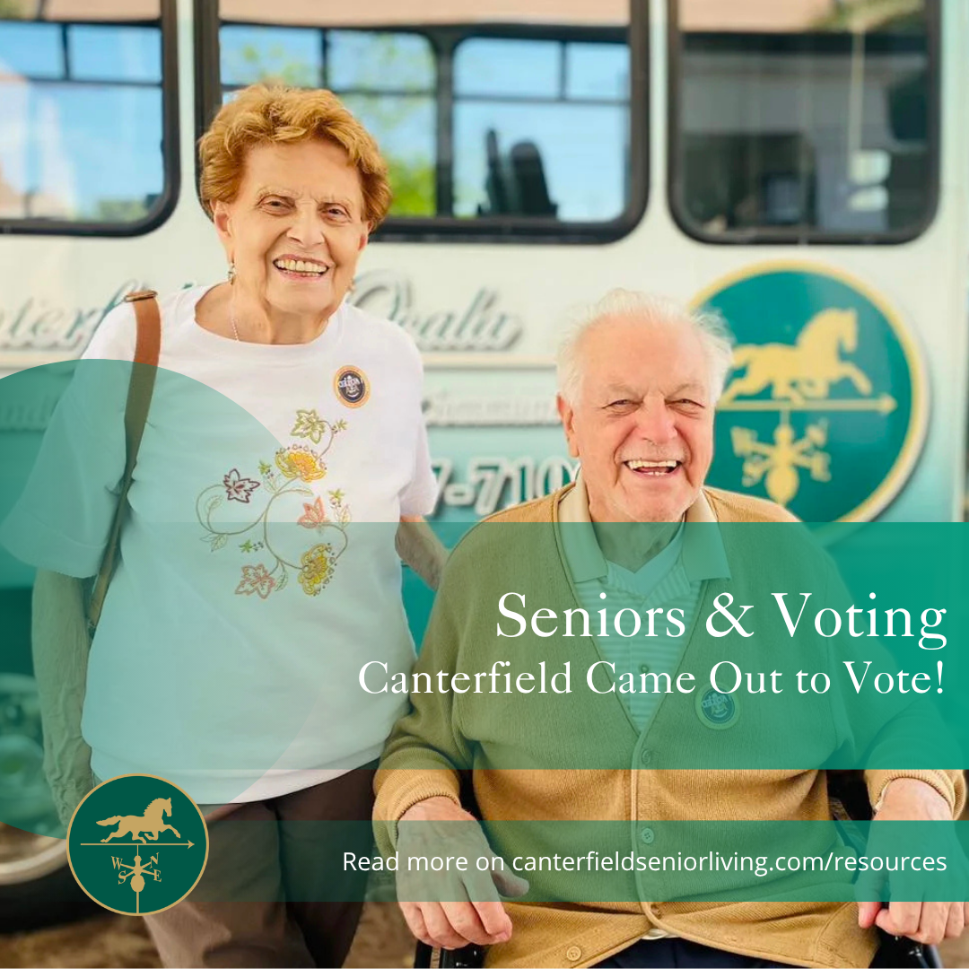 Seniors &amp; Voting