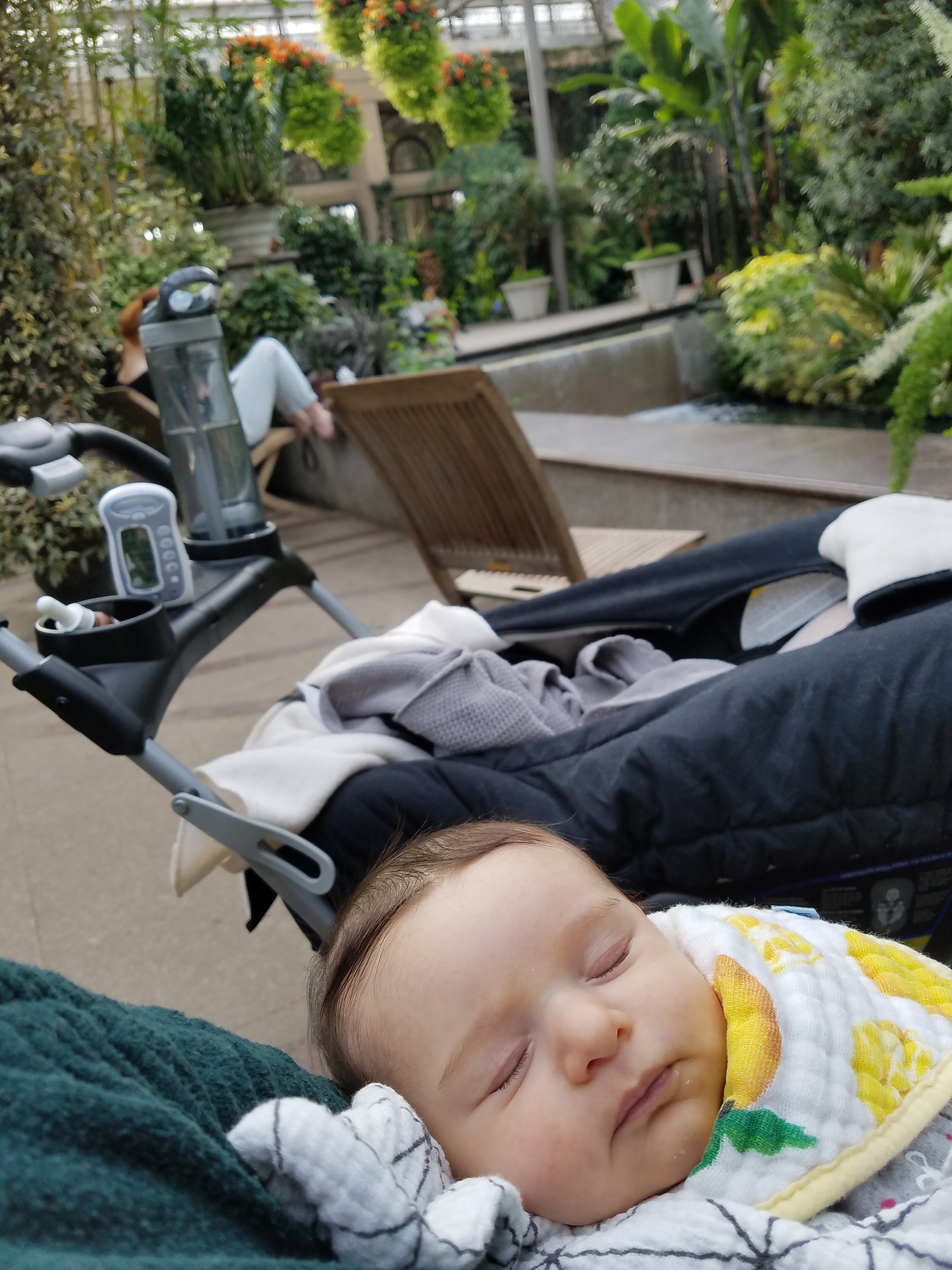 Pause Spot With My Little One 2019
