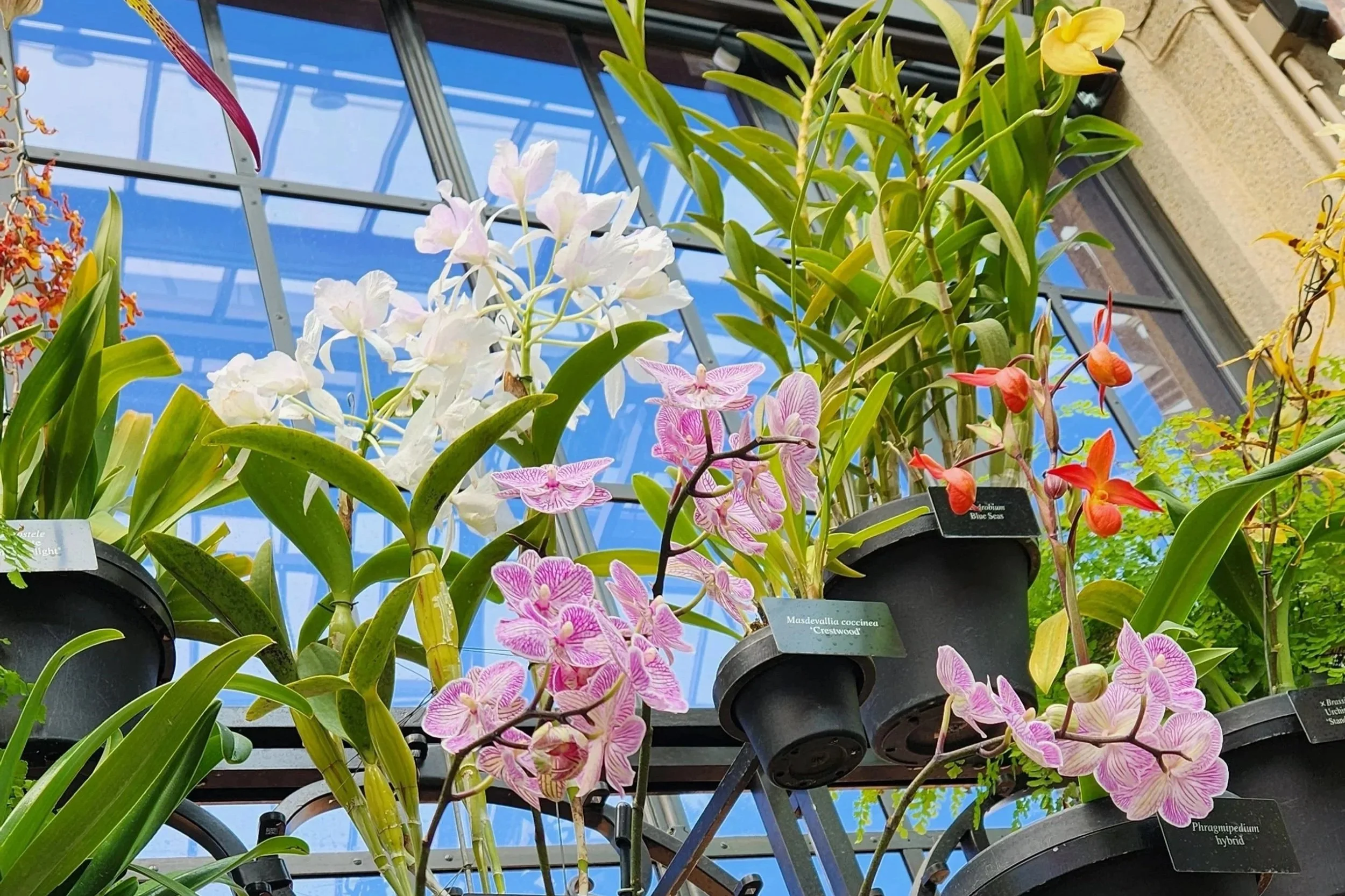 Longwood Gardens Art Walk