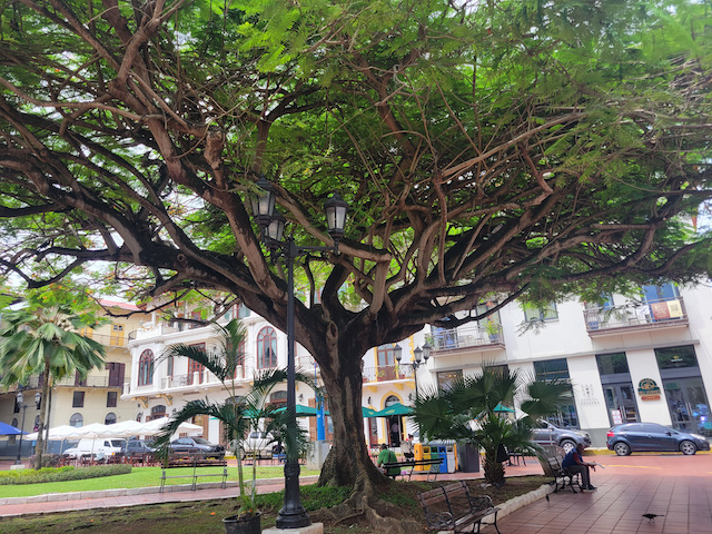Panama Plaza 2.png