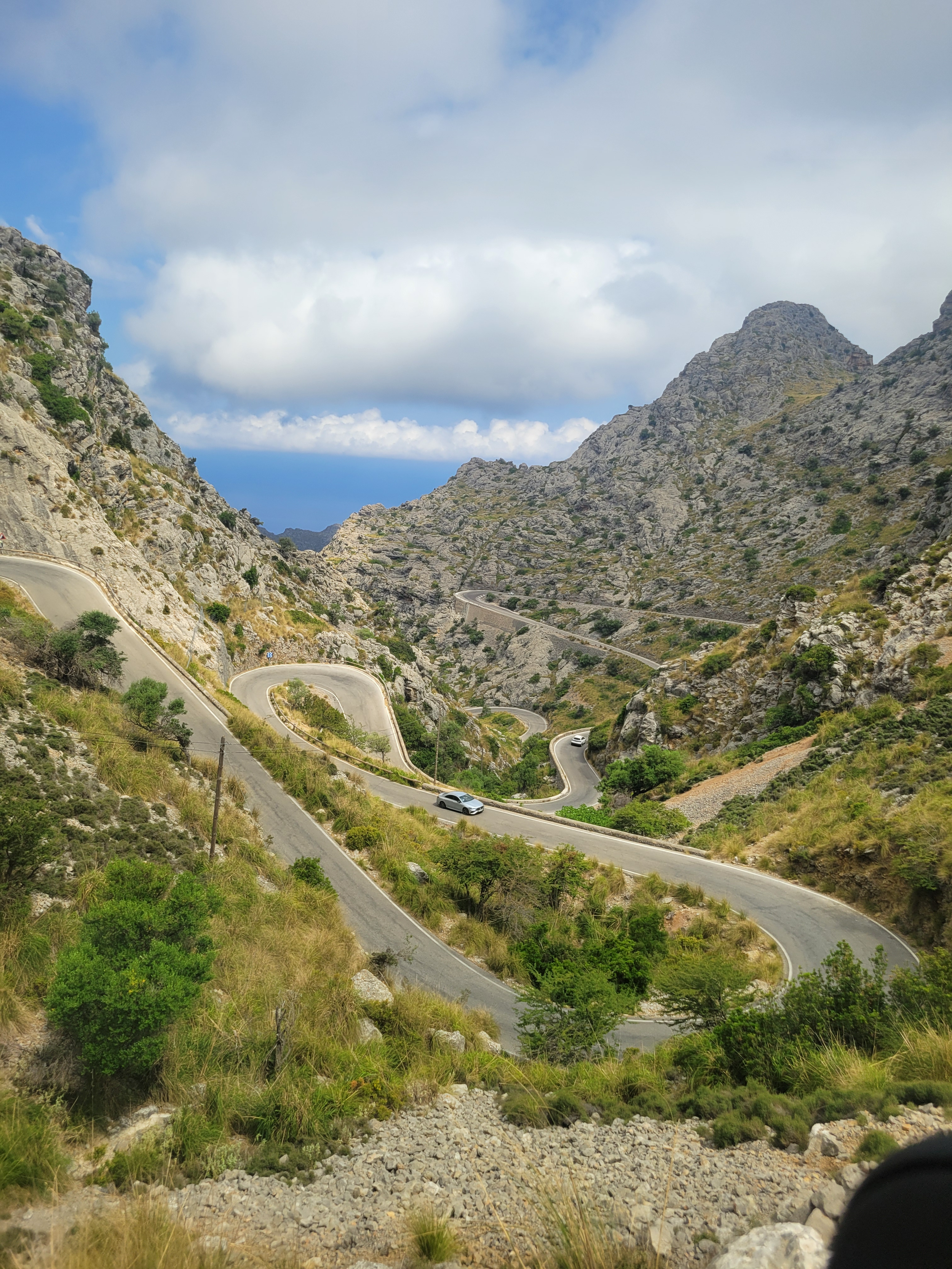 Sa Calobra Snake Mallorca Spain.png