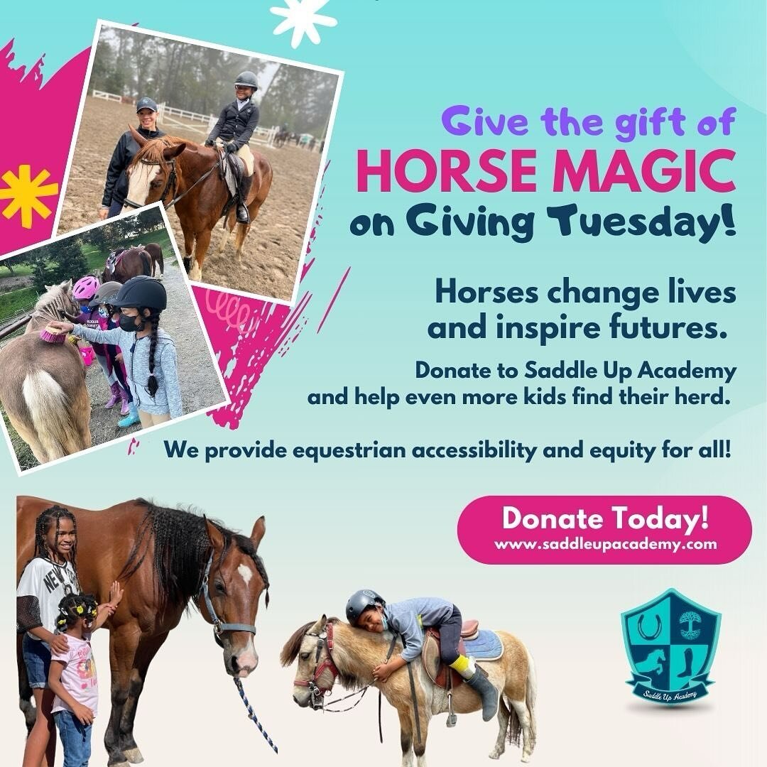 Give the gift of horse magic 🪄 #givingtuesday Link in bio