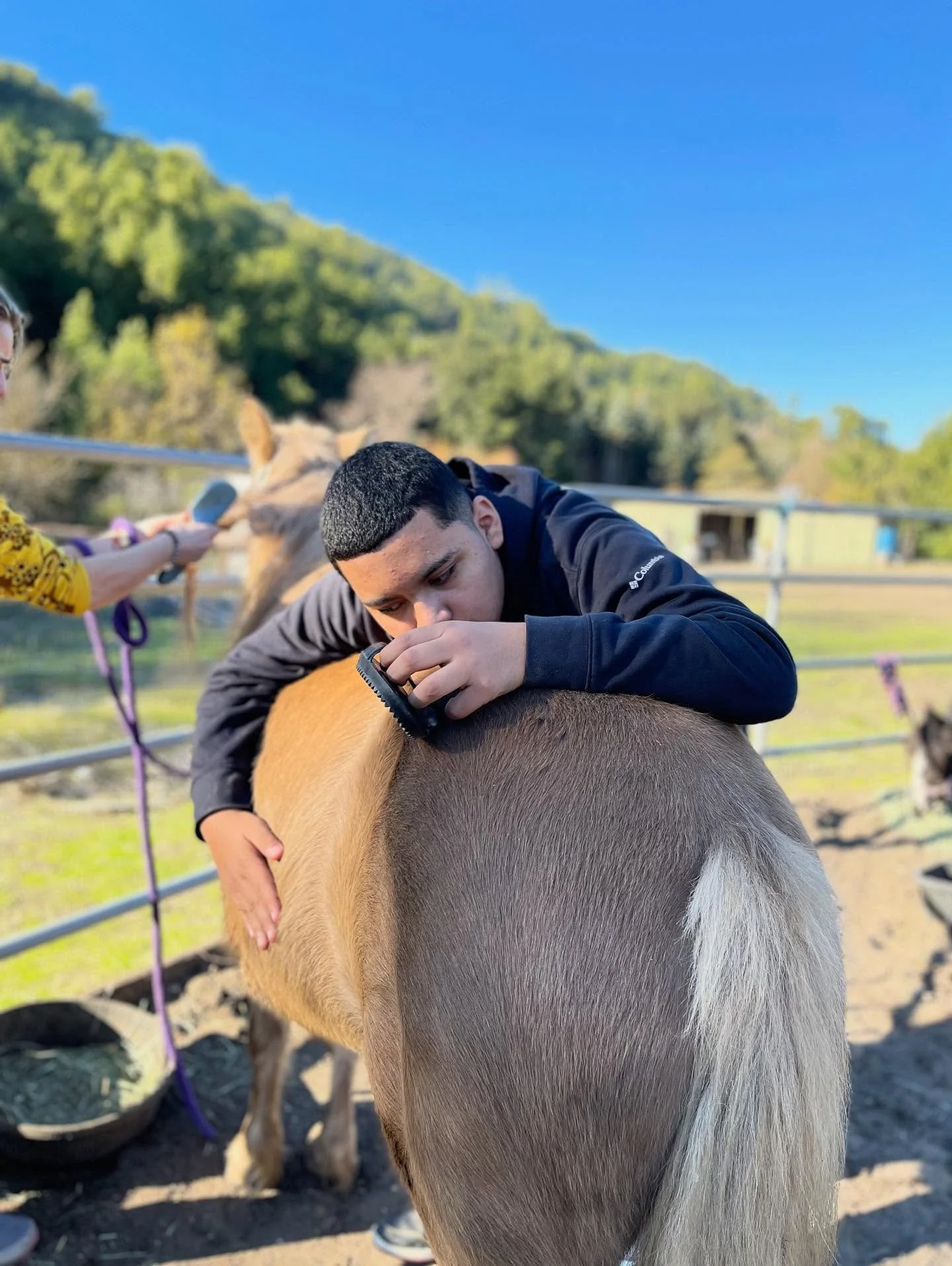 Sometimes you gotta just hug a horse.  #ousdfieldtrip