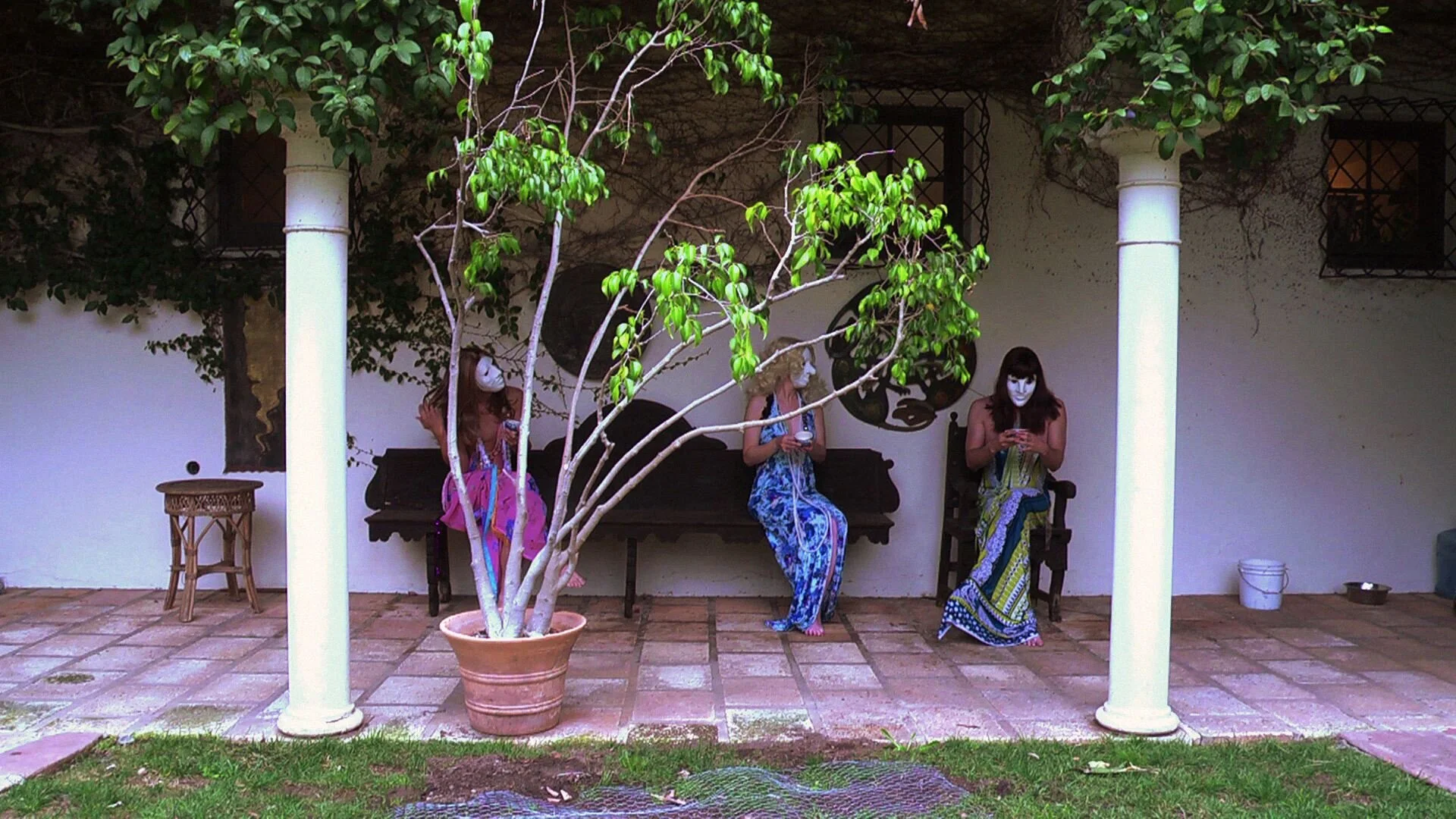 shakuntala du bois 3.jpg