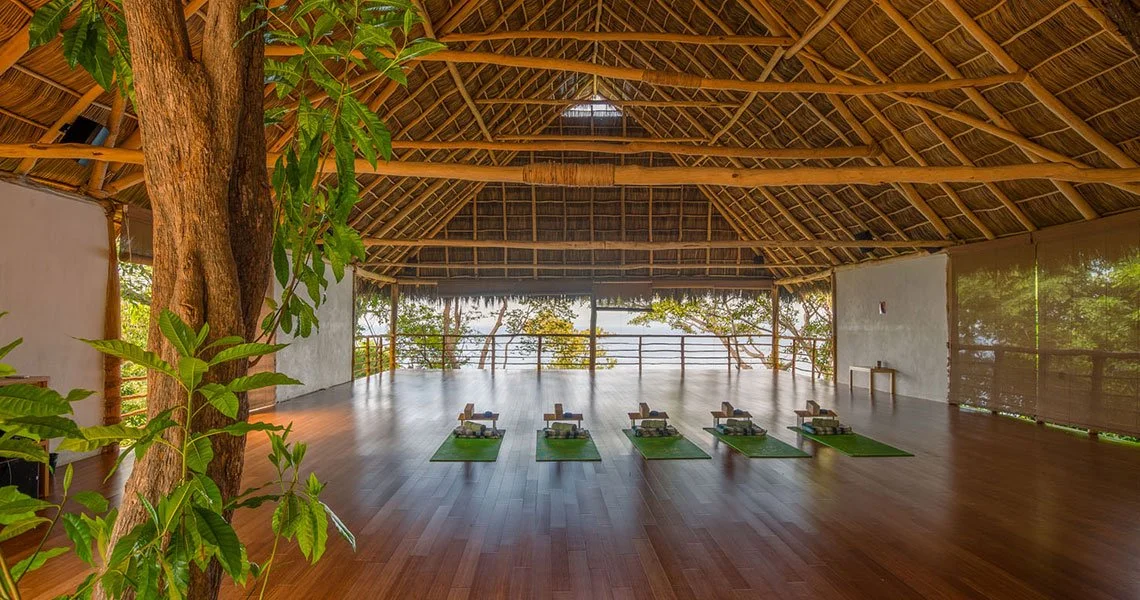 yoga-studio-jungle-studio-01.jpg