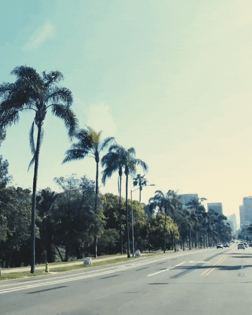 ClearMark - Video.gif